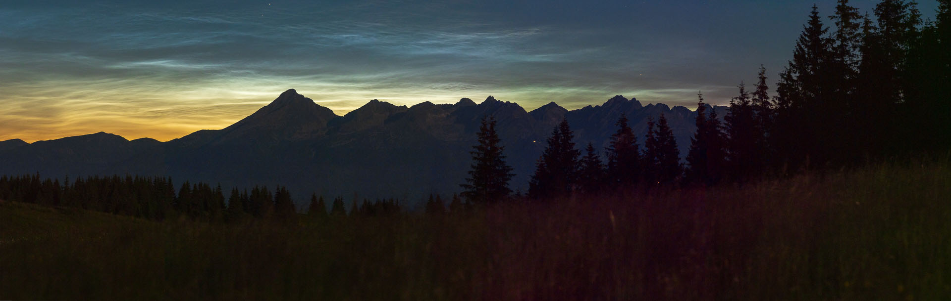 Smrečiny z Liptovskej Tepličky (Nízke Tatry)