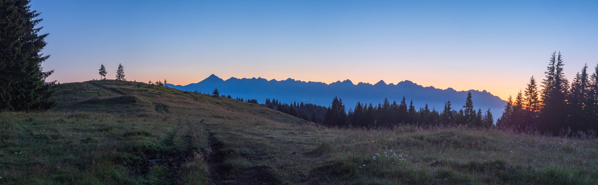 Smrečiny z Liptovskej Tepličky (Nízke Tatry)