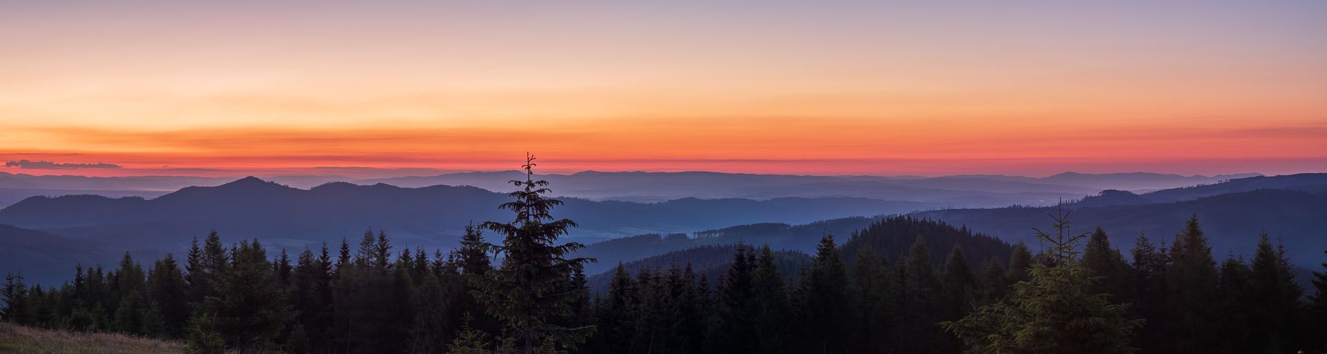 Smrečiny z Liptovskej Tepličky (Nízke Tatry)