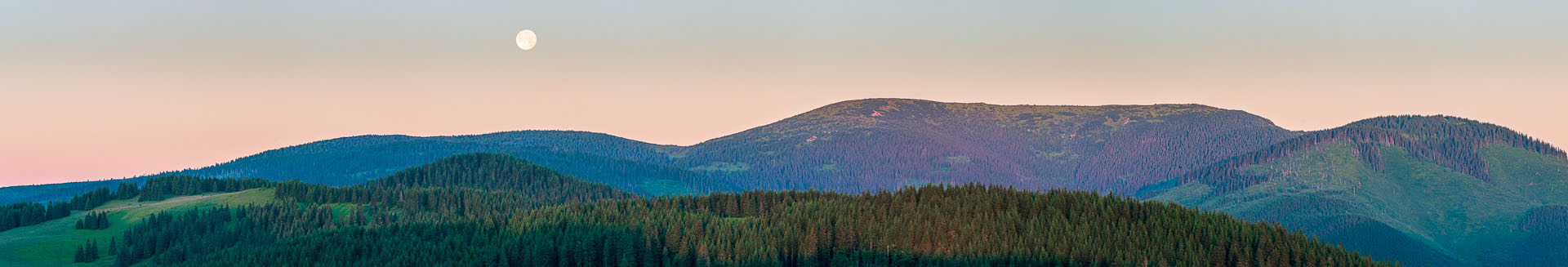 Smrečiny z Liptovskej Tepličky (Nízke Tatry)