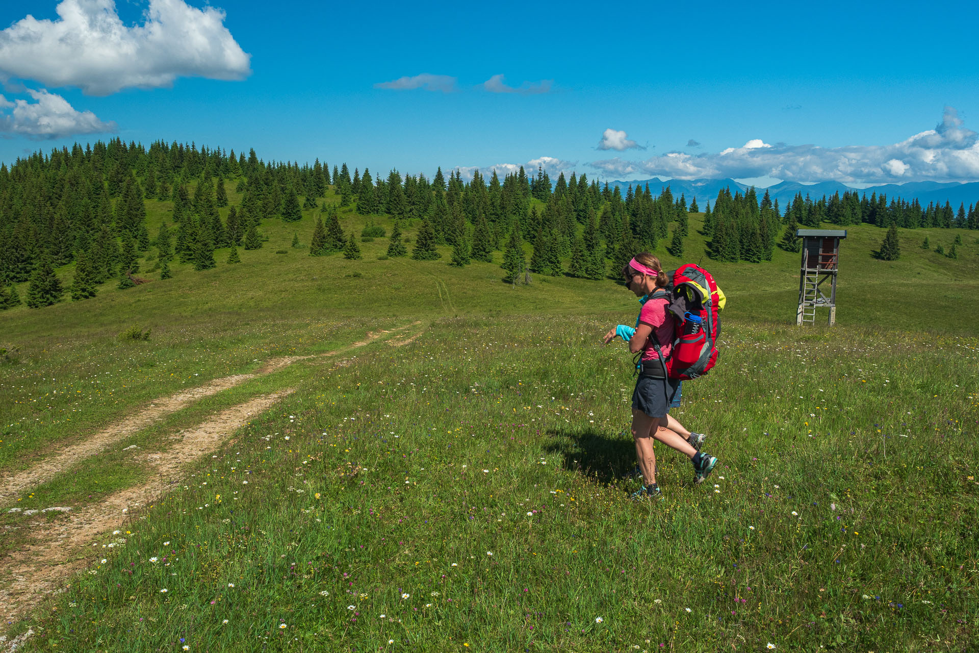 Smrečiny z Liptovskej Tepličky (Nízke Tatry)