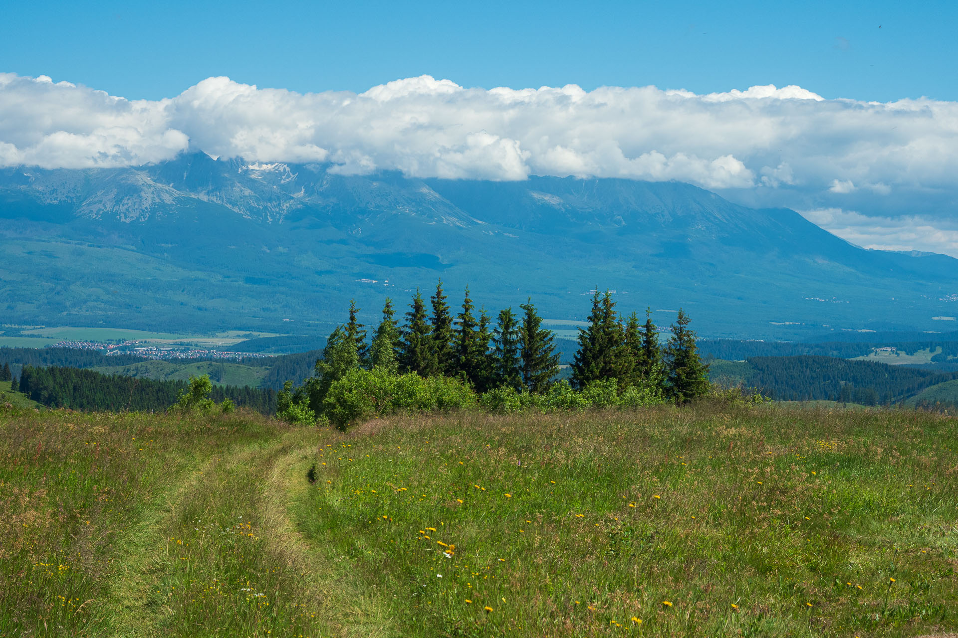 Smrečiny z Liptovskej Tepličky (Nízke Tatry)