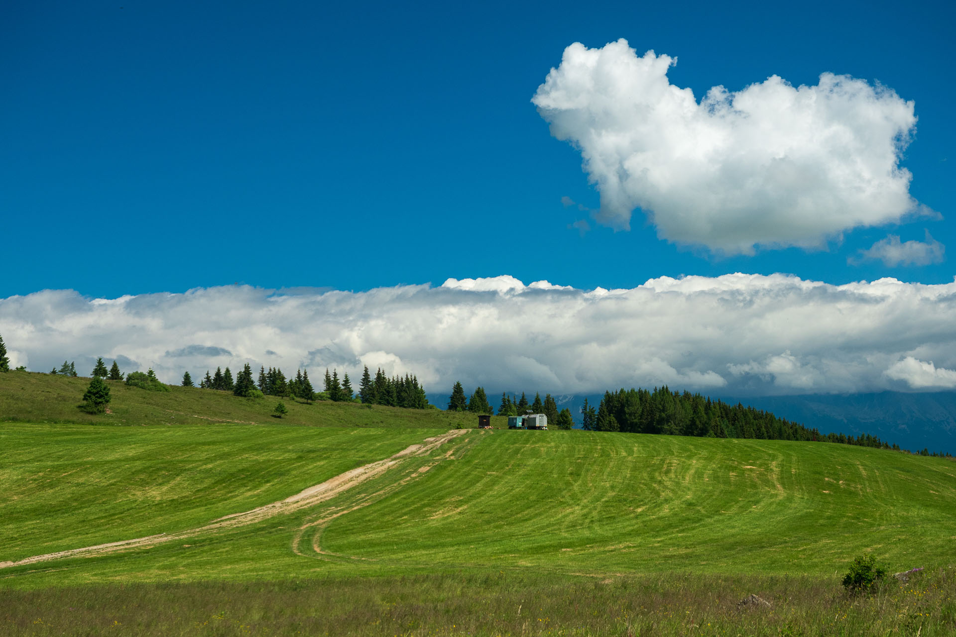 Smrečiny z Liptovskej Tepličky (Nízke Tatry)