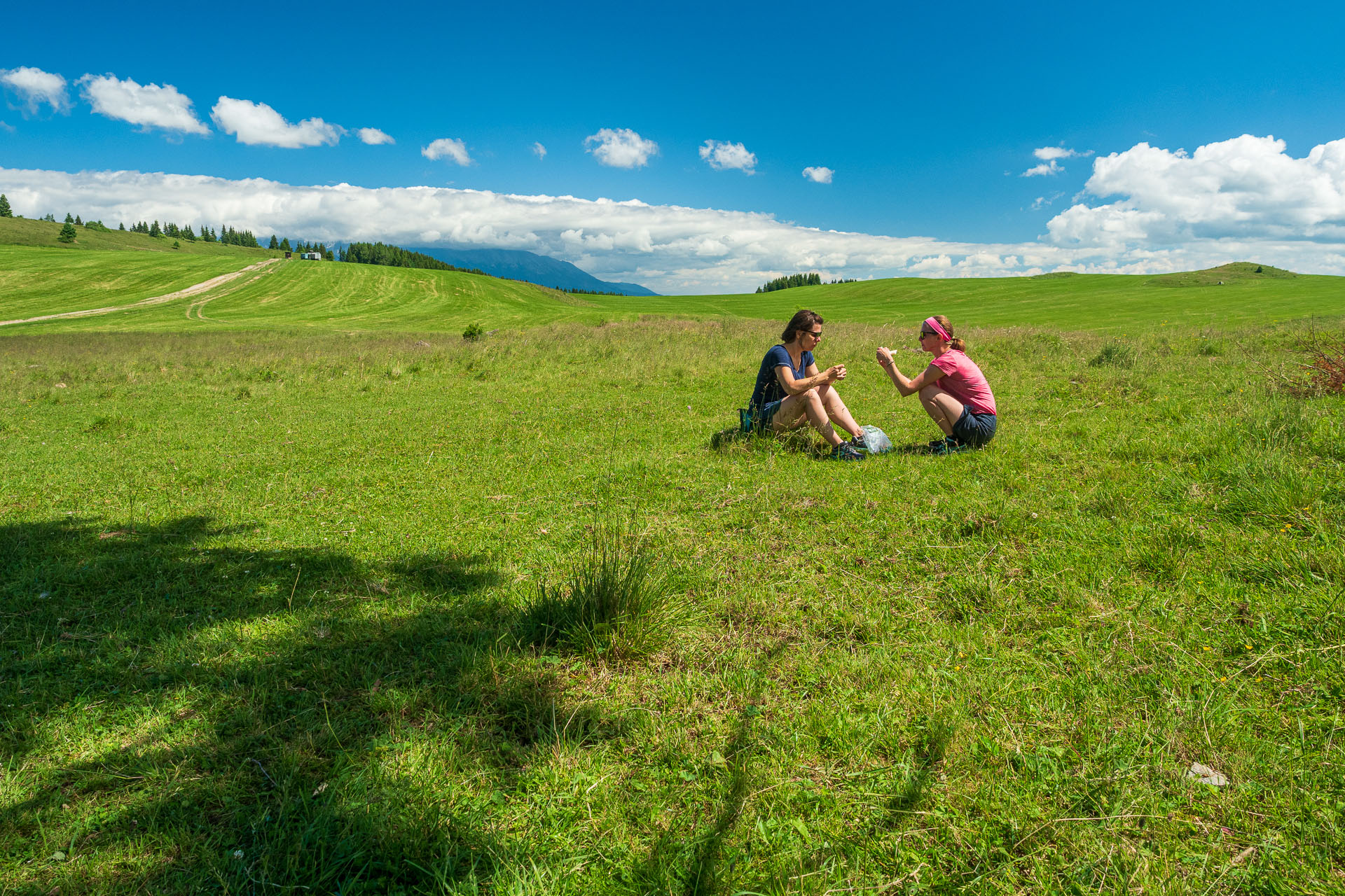 Smrečiny z Liptovskej Tepličky (Nízke Tatry)