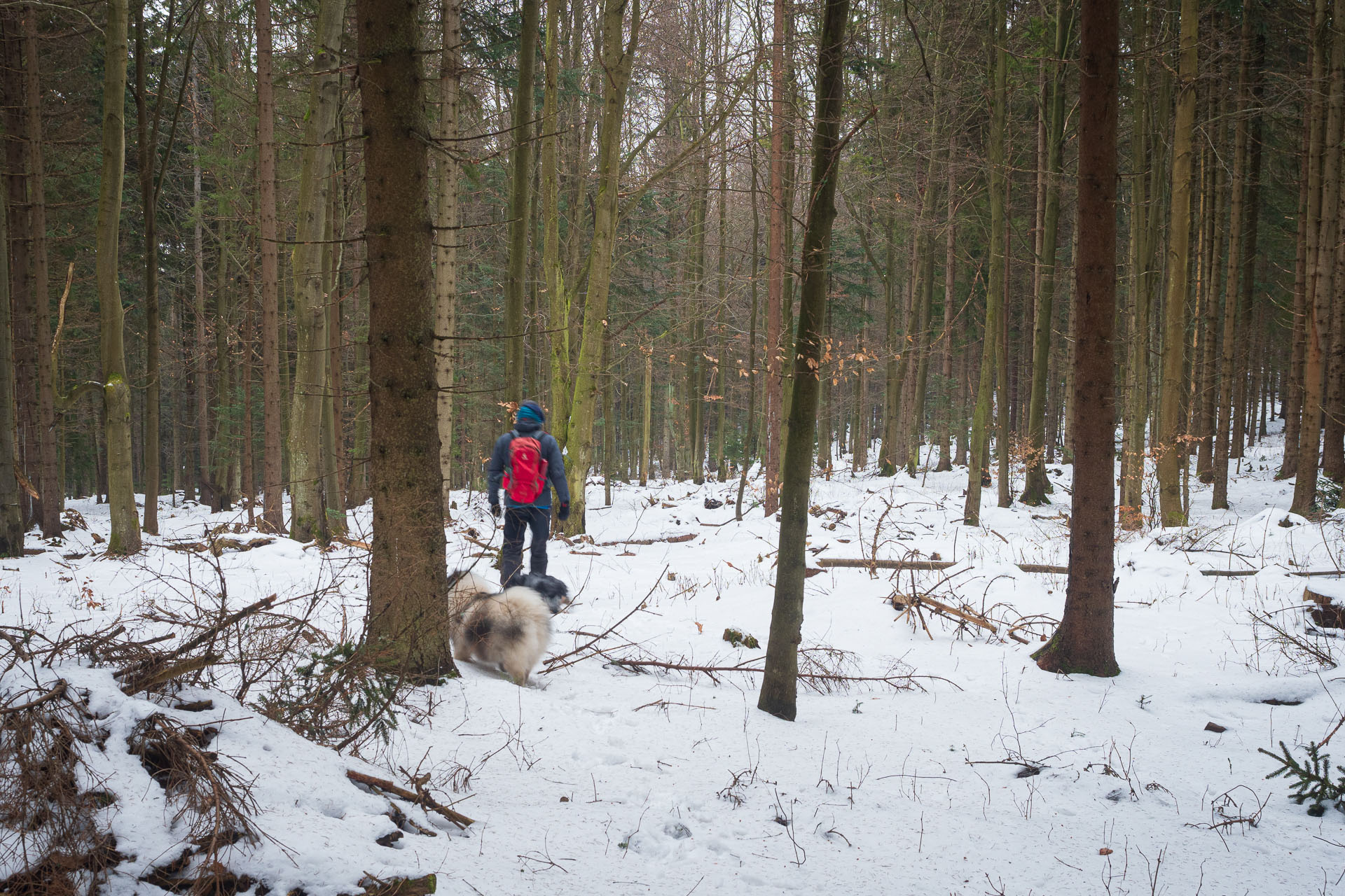 Veľká Knola z Ráztok (Volovské vrchy)