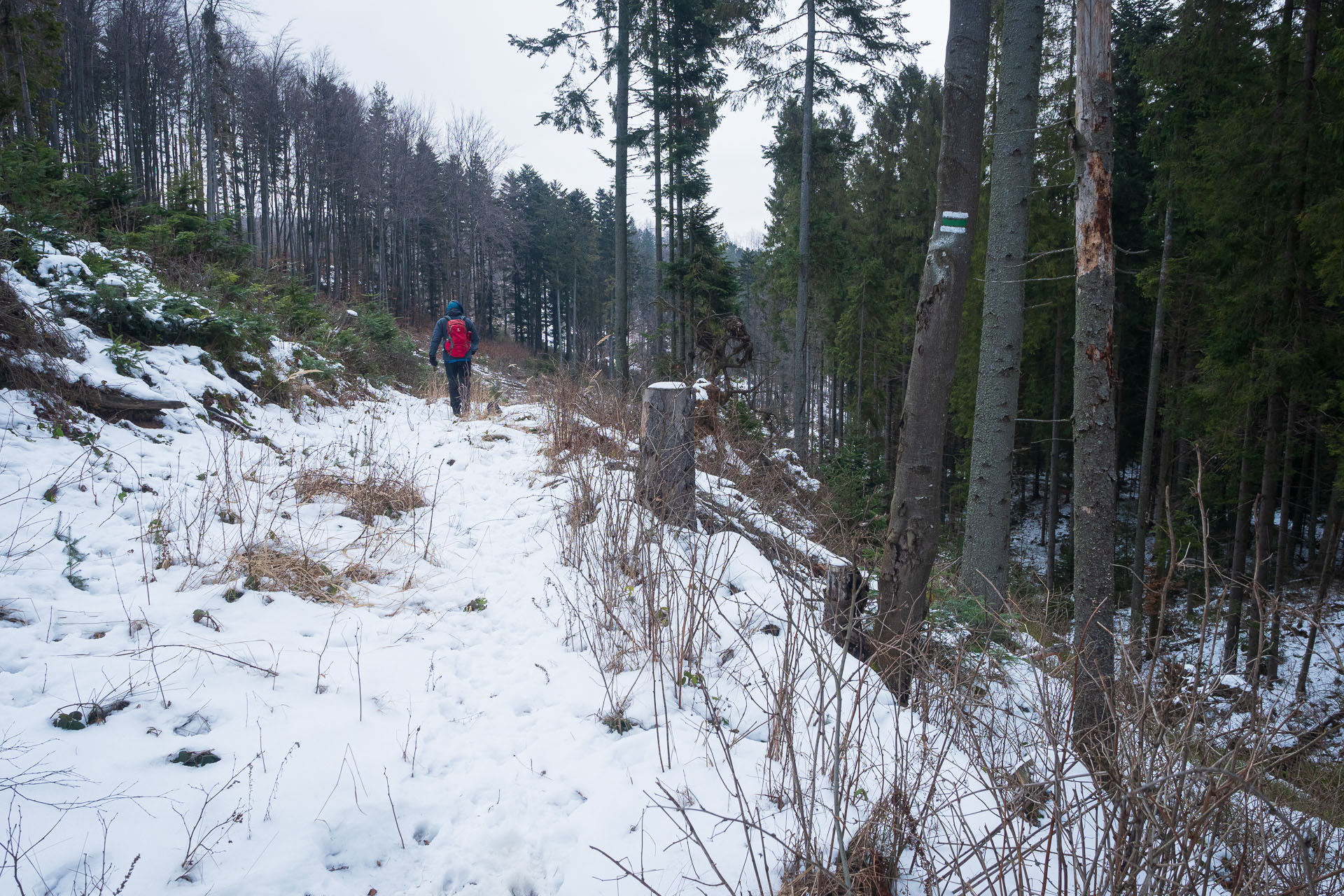 Veľká Knola z Ráztok (Volovské vrchy)