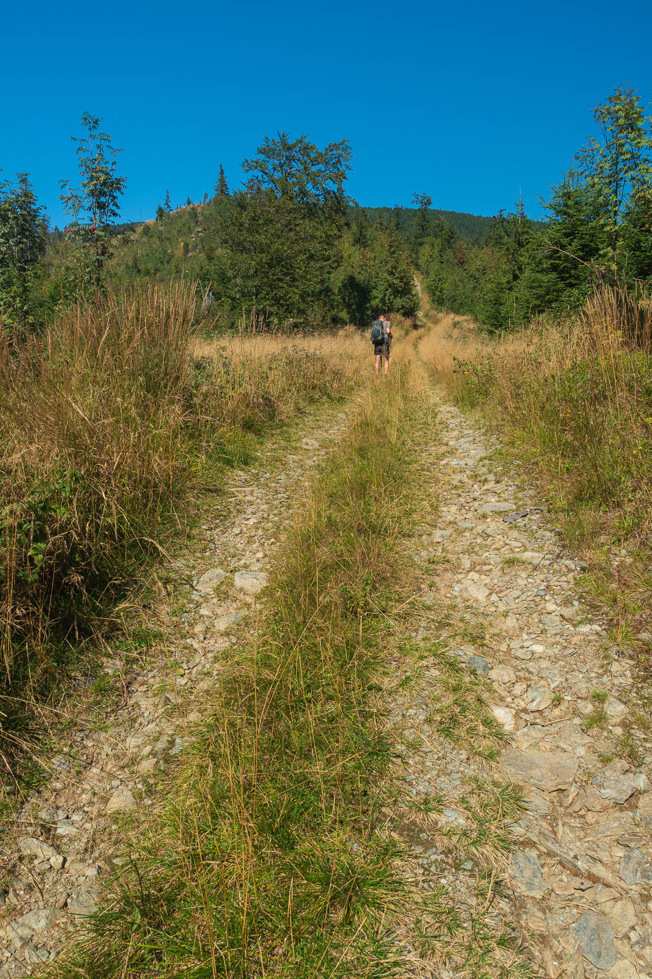 Veľký Bok z Polomky (Nízke Tatry)