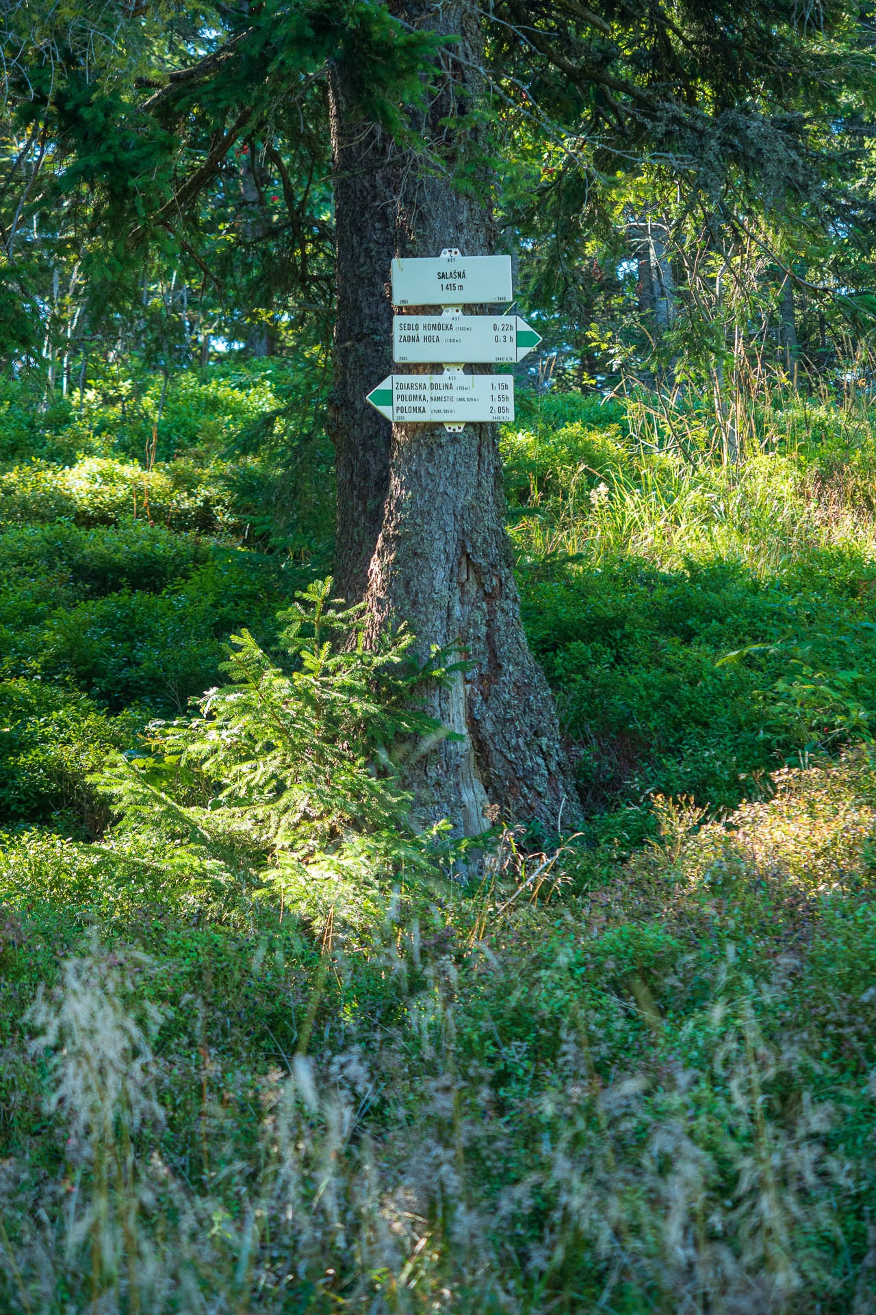 Veľký Bok z Polomky (Nízke Tatry)