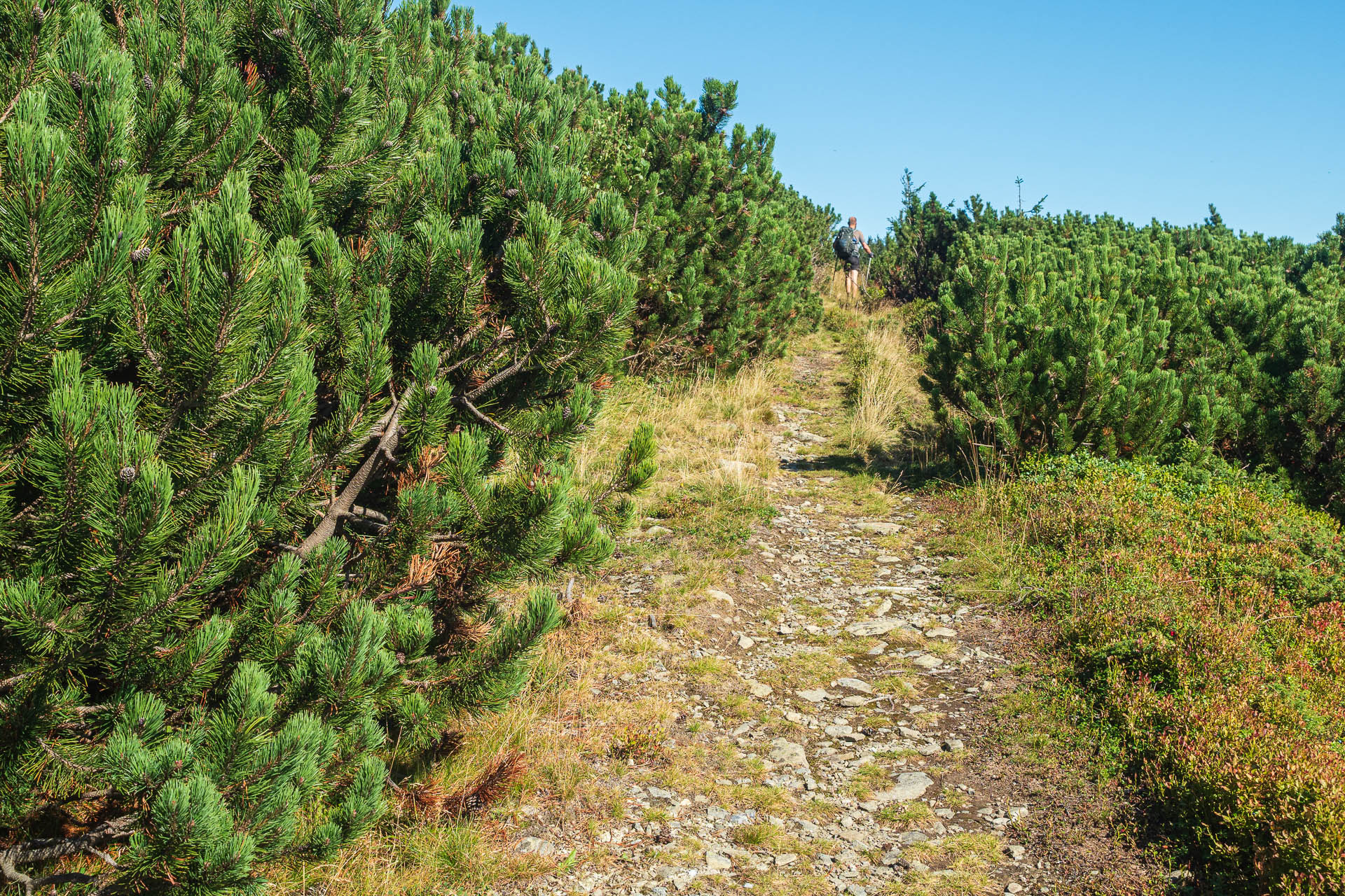 Veľký Bok z Polomky (Nízke Tatry)