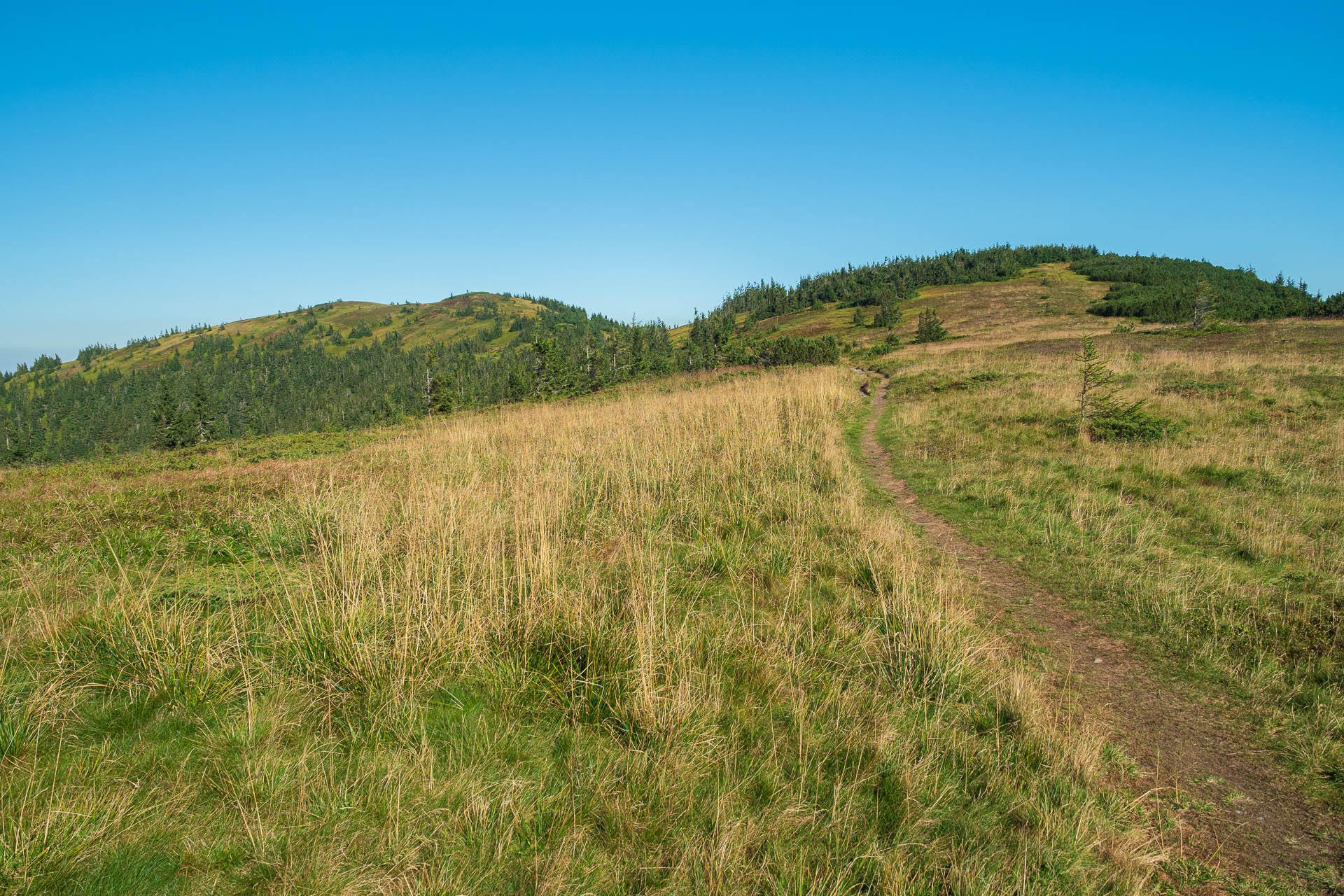 Veľký Bok z Polomky (Nízke Tatry)