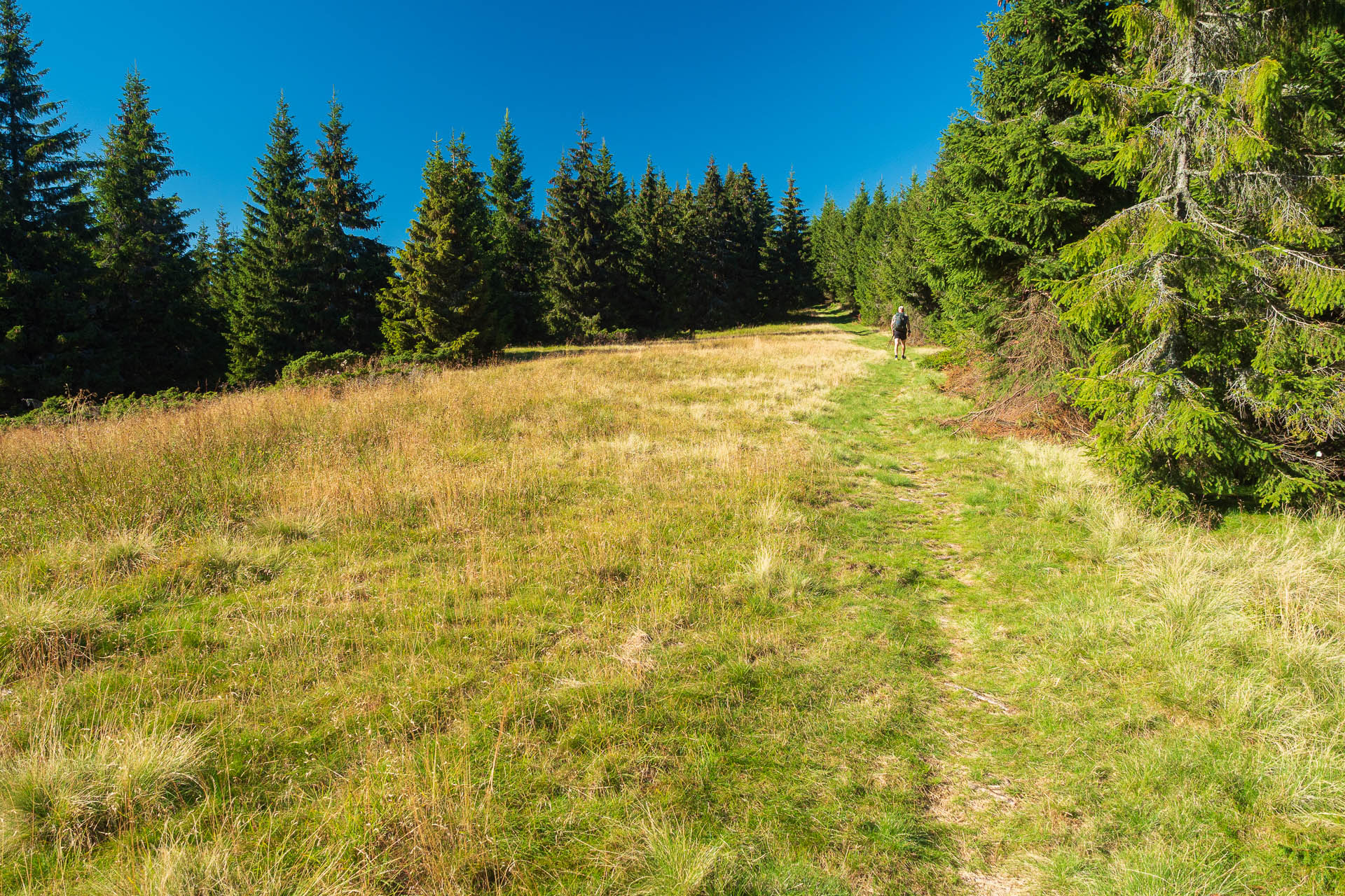 Veľký Bok z Polomky (Nízke Tatry)