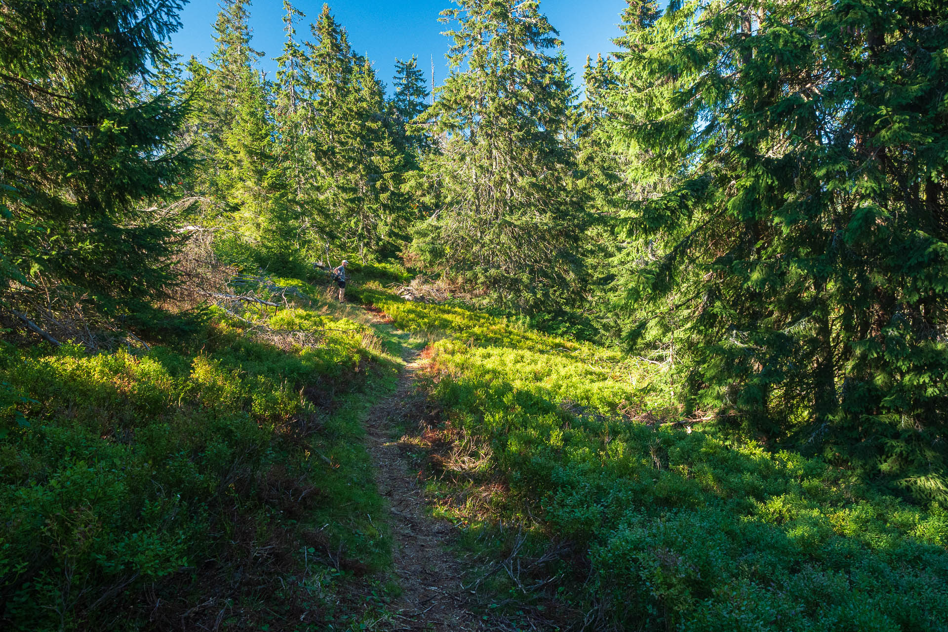 Veľký Bok z Polomky (Nízke Tatry)