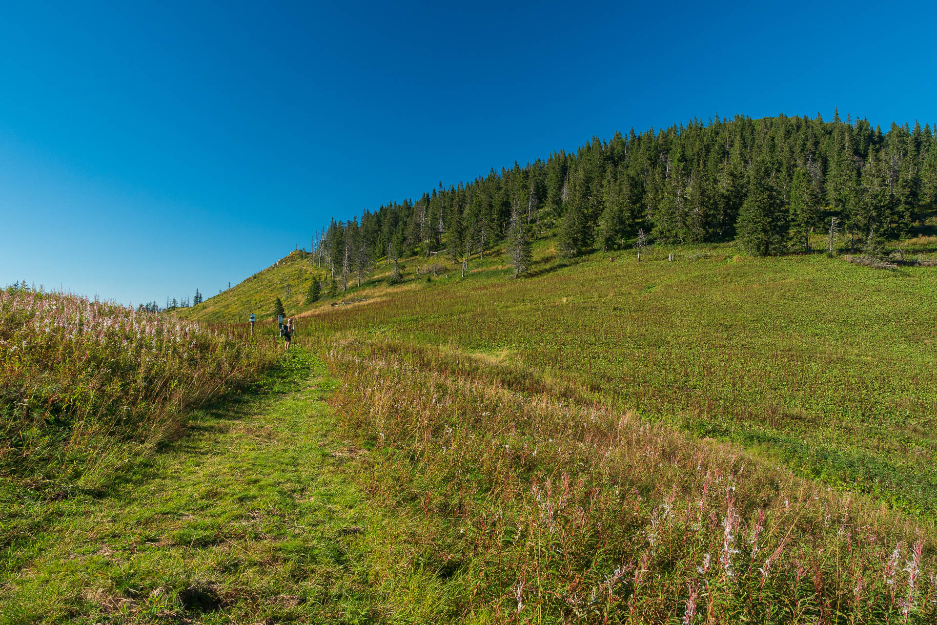 Veľký Bok z Polomky (Nízke Tatry)