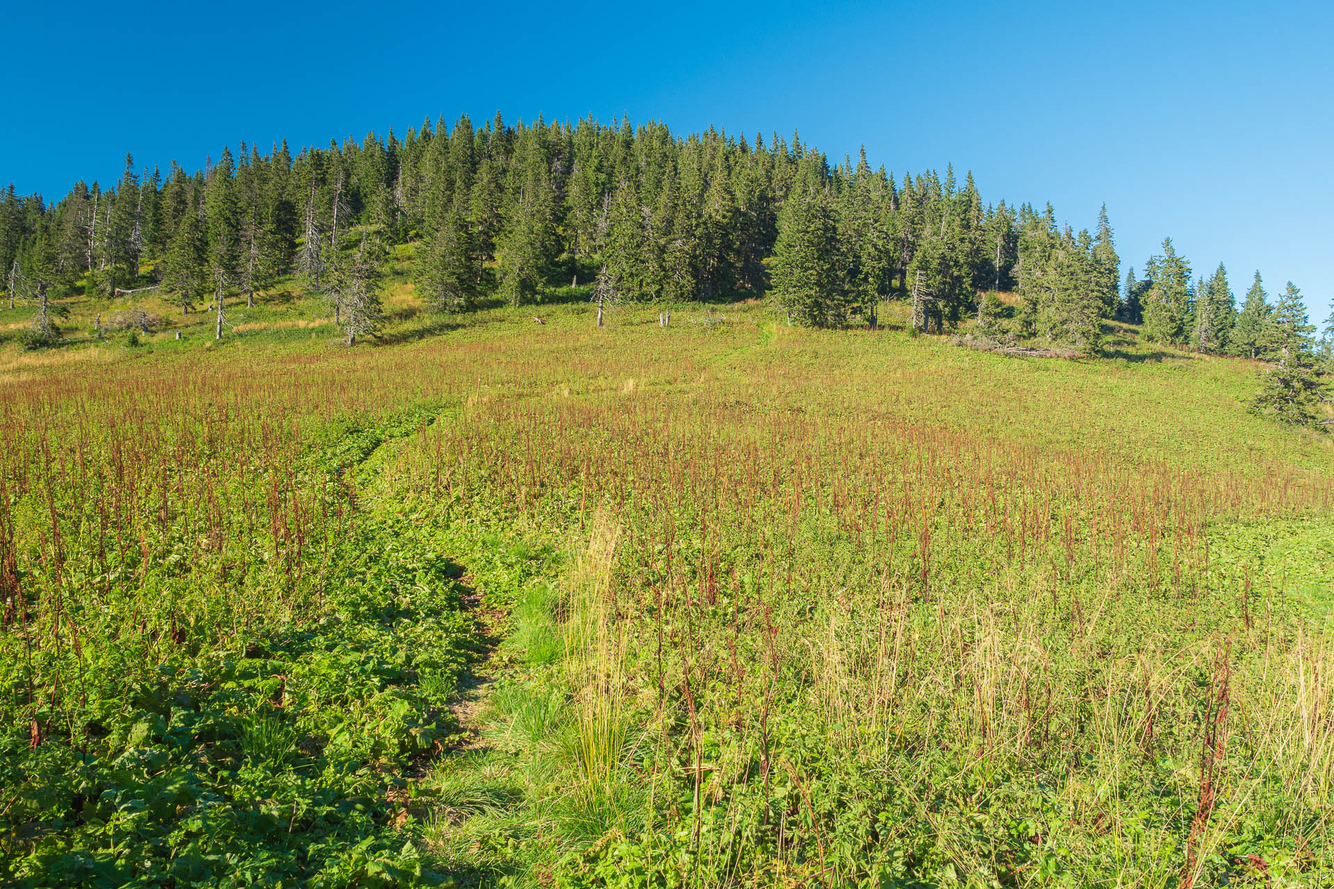 Veľký Bok z Polomky (Nízke Tatry)