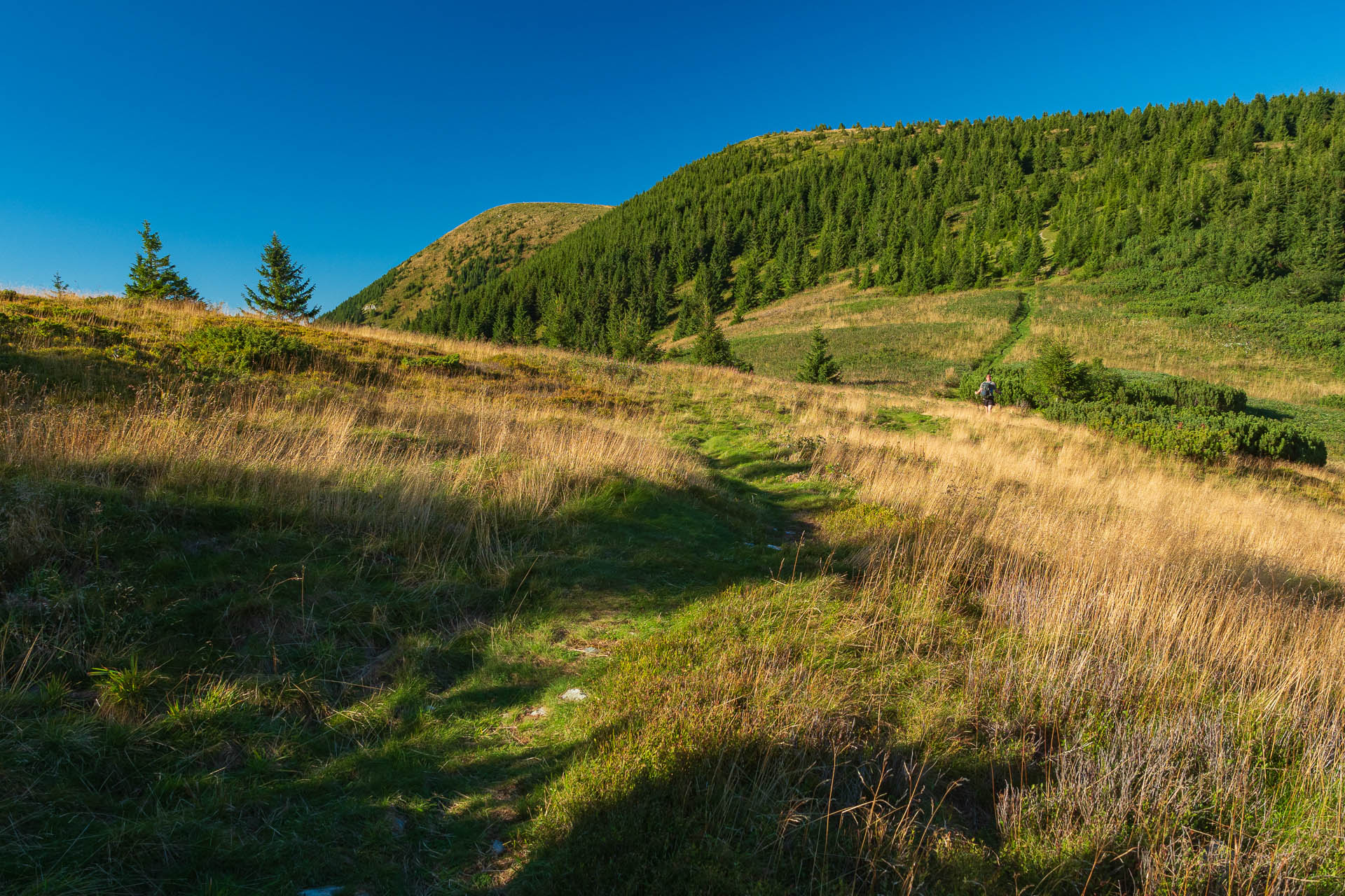 Veľký Bok z Polomky (Nízke Tatry)