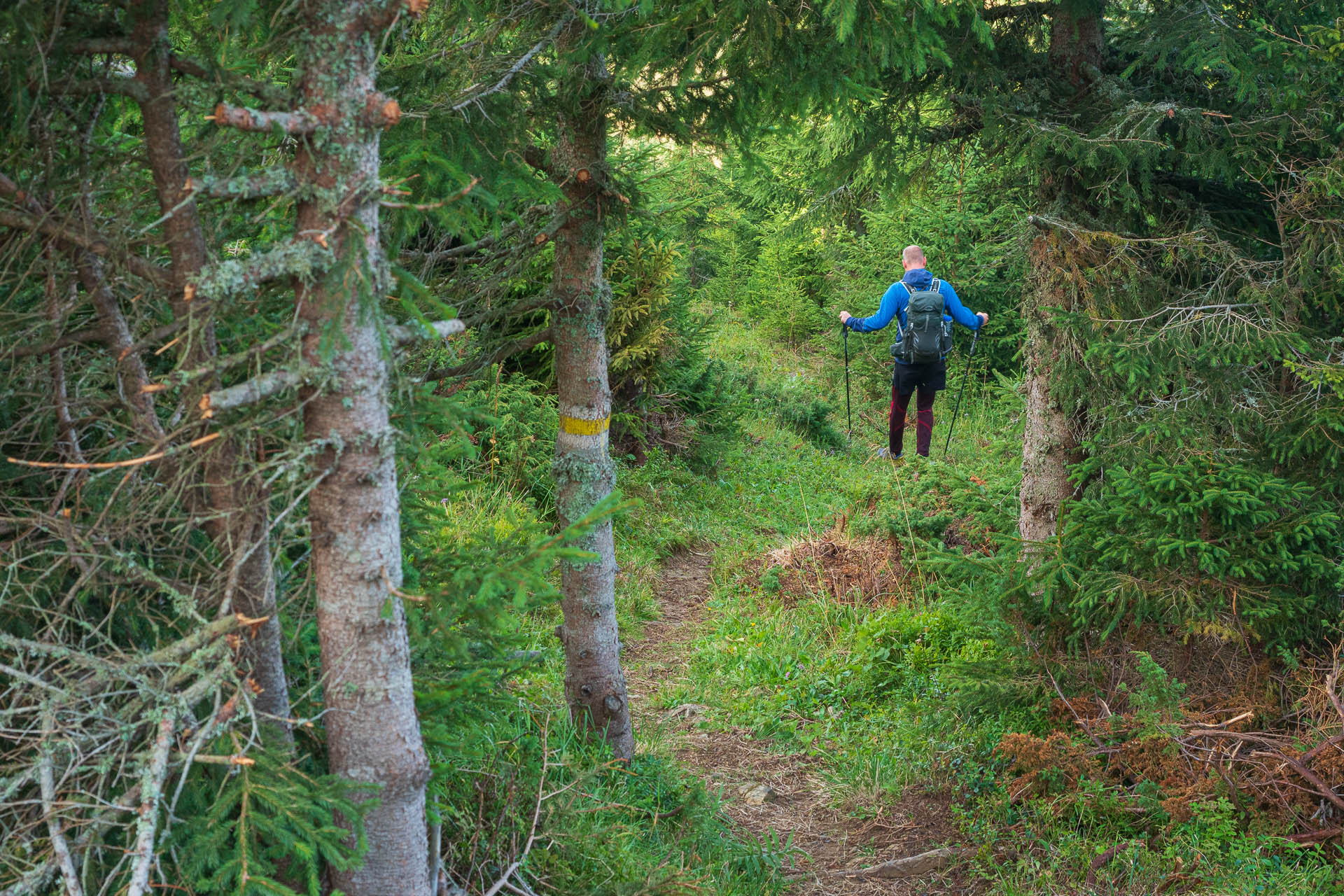 Veľký Bok z Polomky (Nízke Tatry)