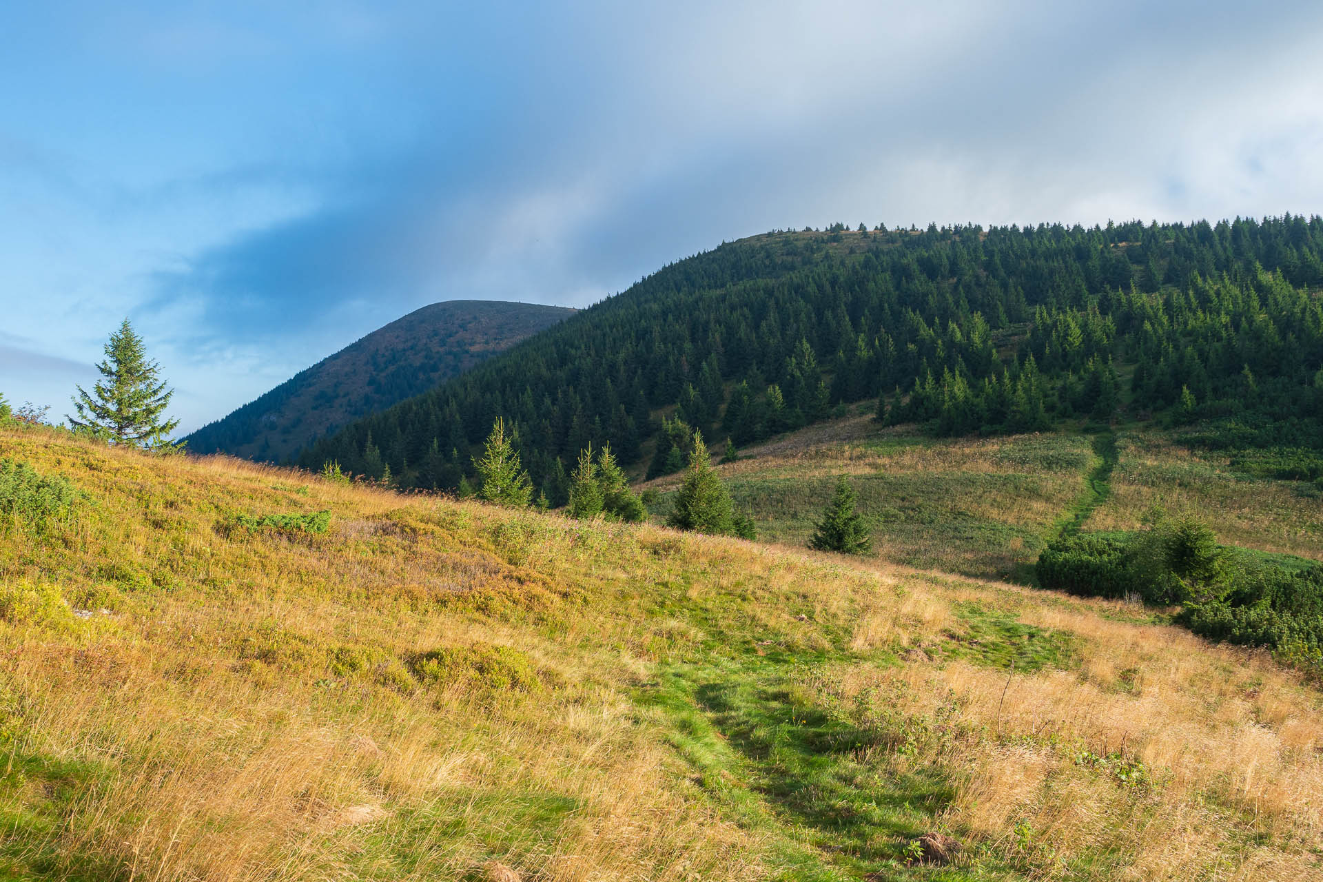 Veľký Bok z Polomky (Nízke Tatry)