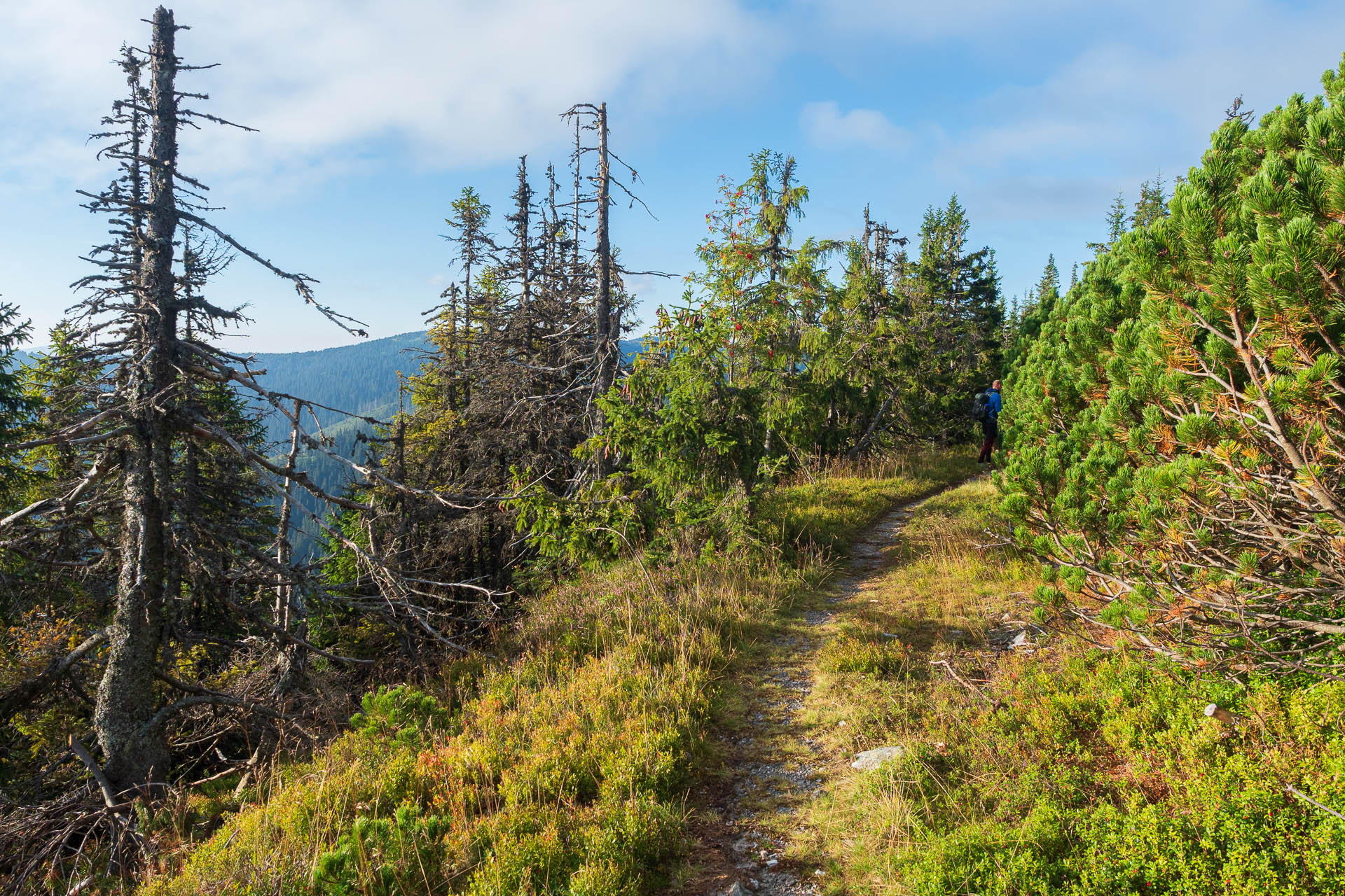 Veľký Bok z Polomky (Nízke Tatry)