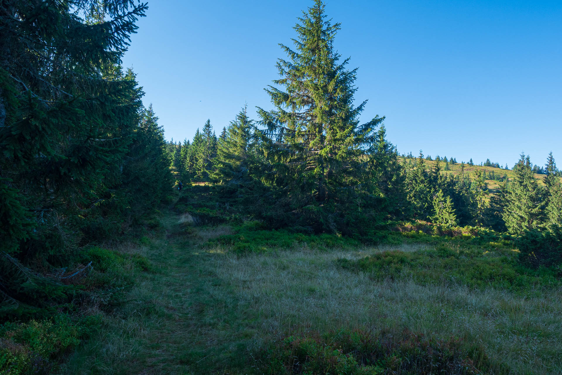 Veľký Bok z Polomky (Nízke Tatry)