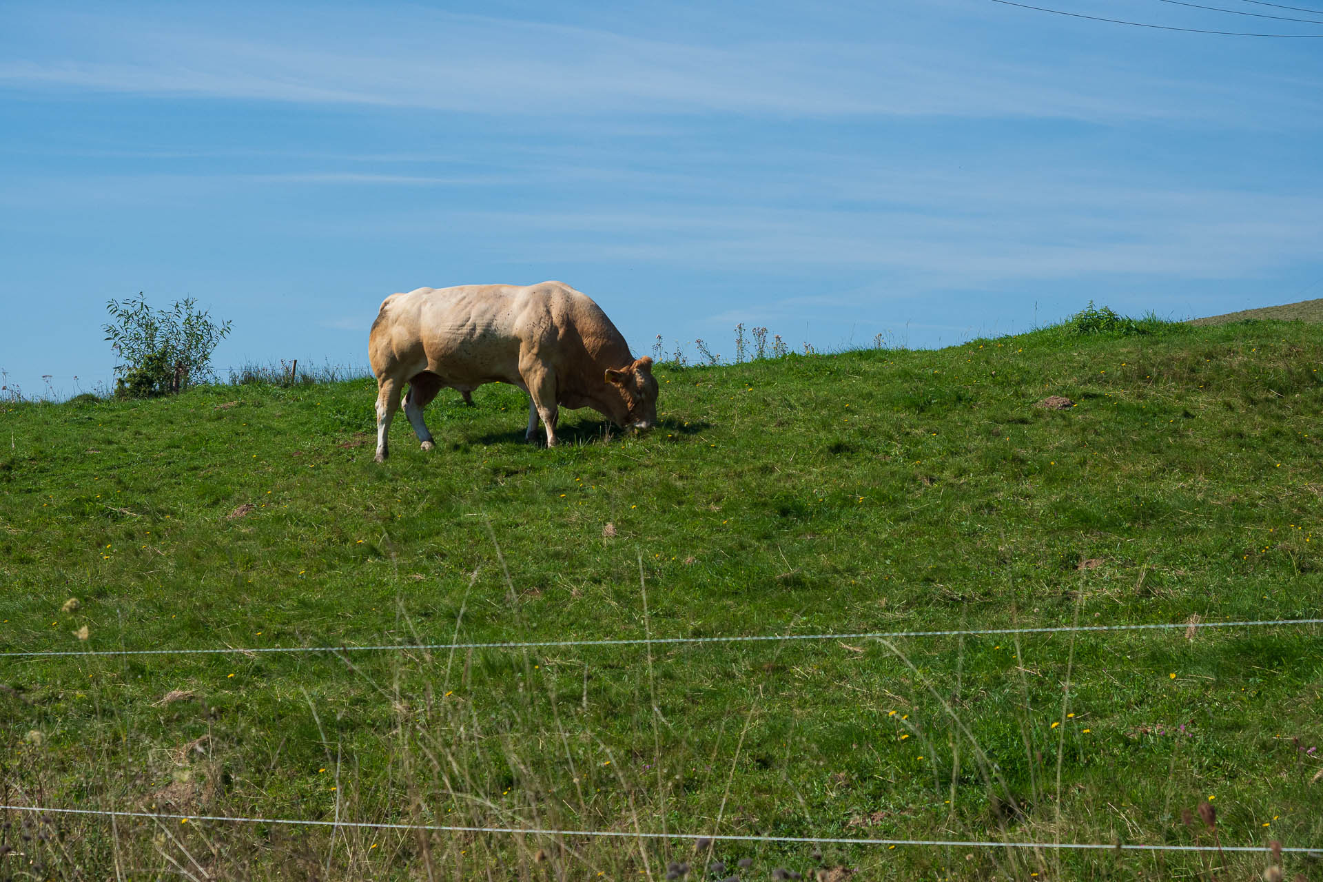 Veľký Bok z Polomky (Nízke Tatry)