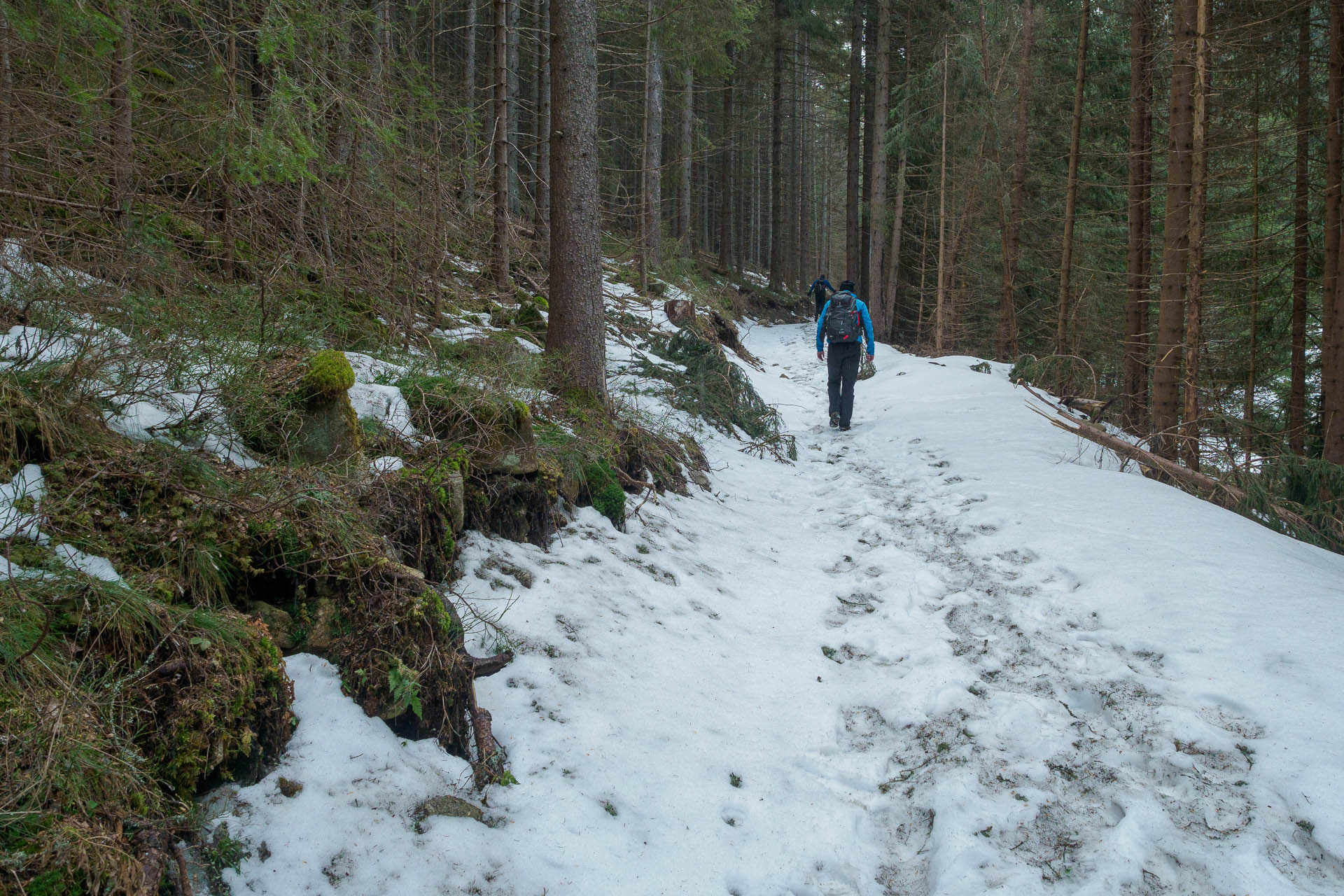 Chabenec z Magurky (Nízke Tatry)