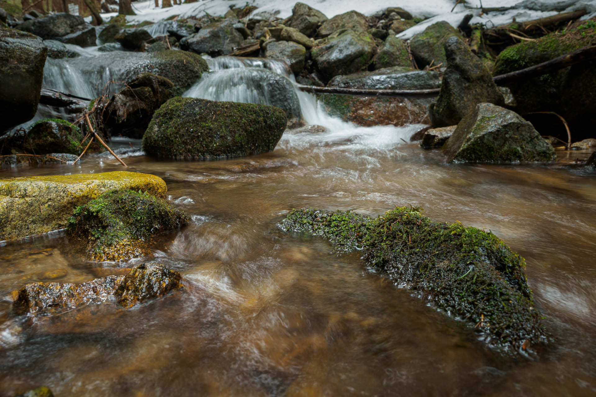 Chabenec z Magurky (Nízke Tatry)