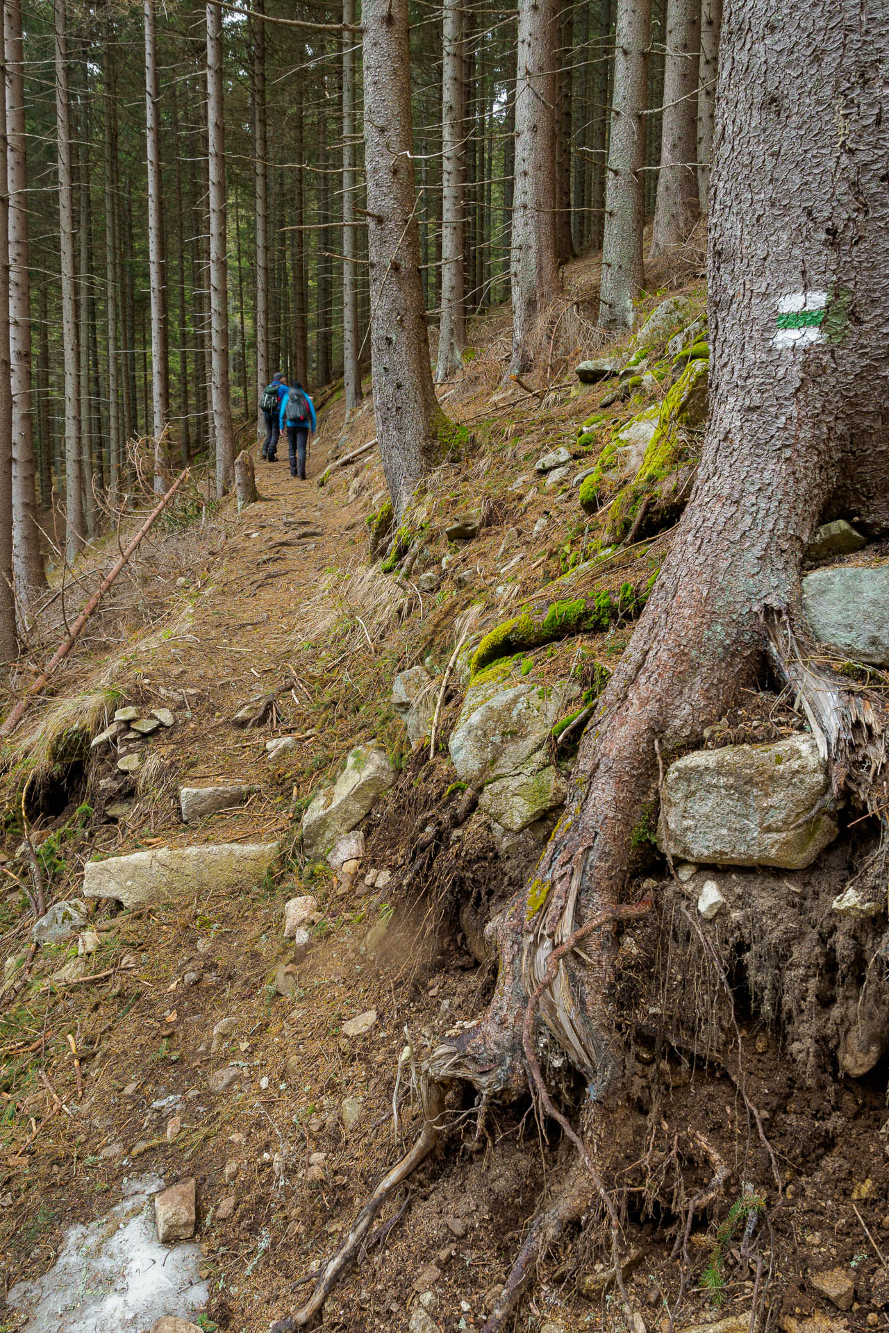 Chabenec z Magurky (Nízke Tatry)