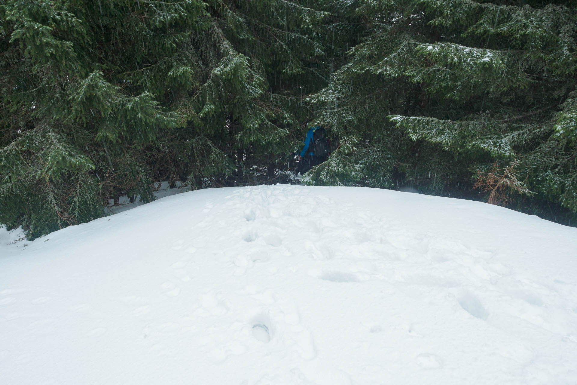 Chabenec z Magurky (Nízke Tatry)