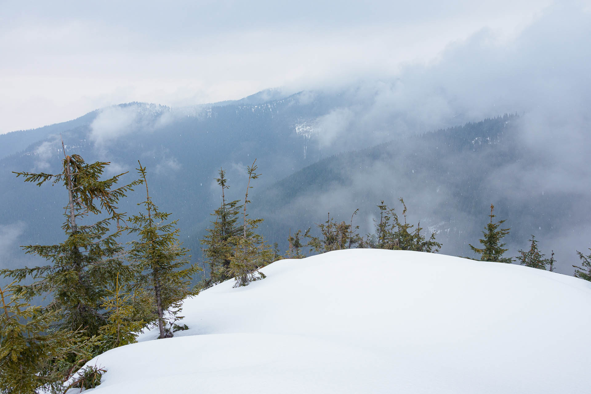 Chabenec z Magurky (Nízke Tatry)