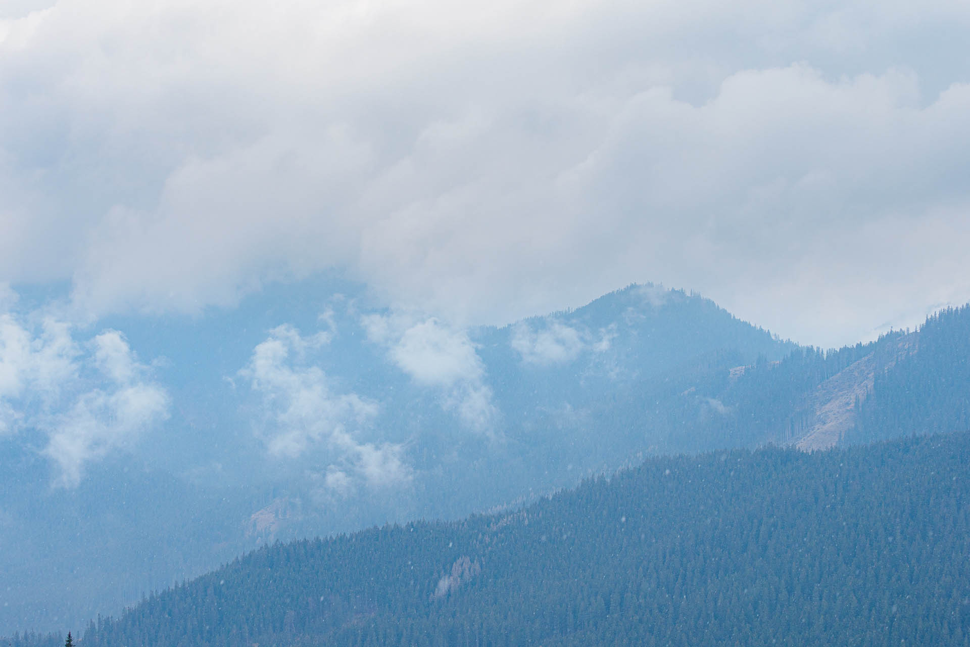 Chabenec z Magurky (Nízke Tatry)