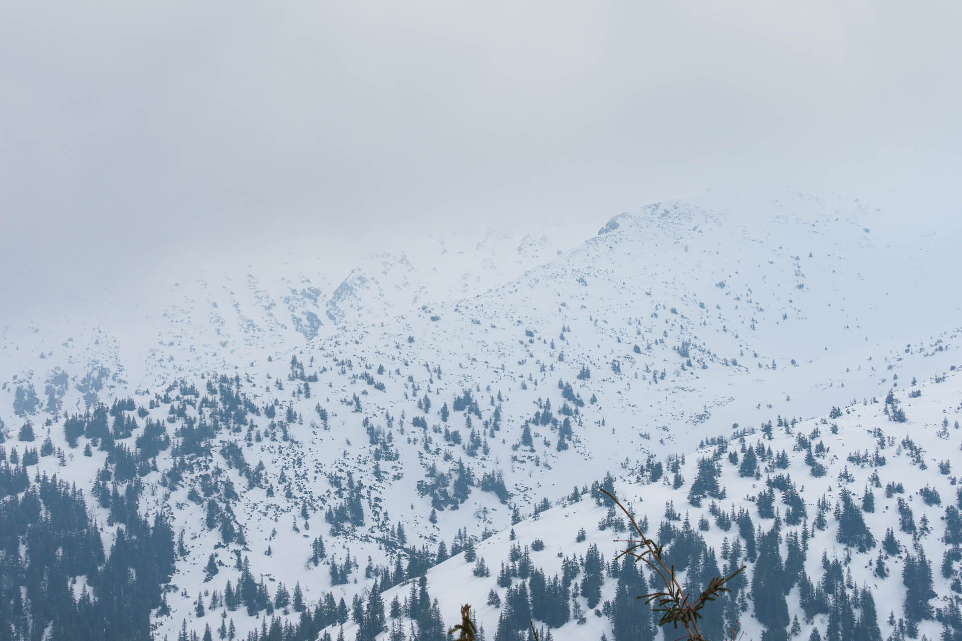 Chabenec z Magurky (Nízke Tatry)