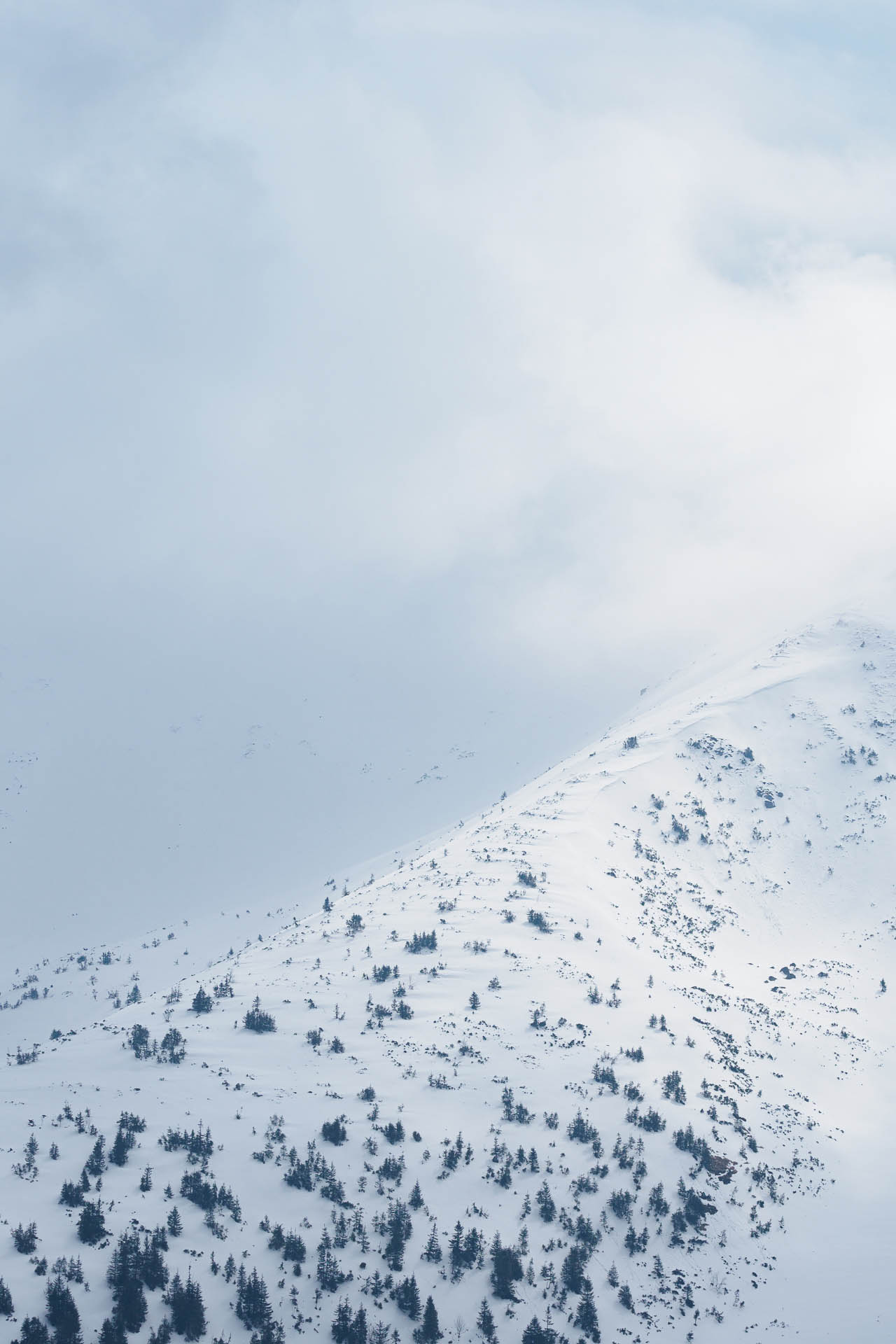 Chabenec z Magurky (Nízke Tatry)