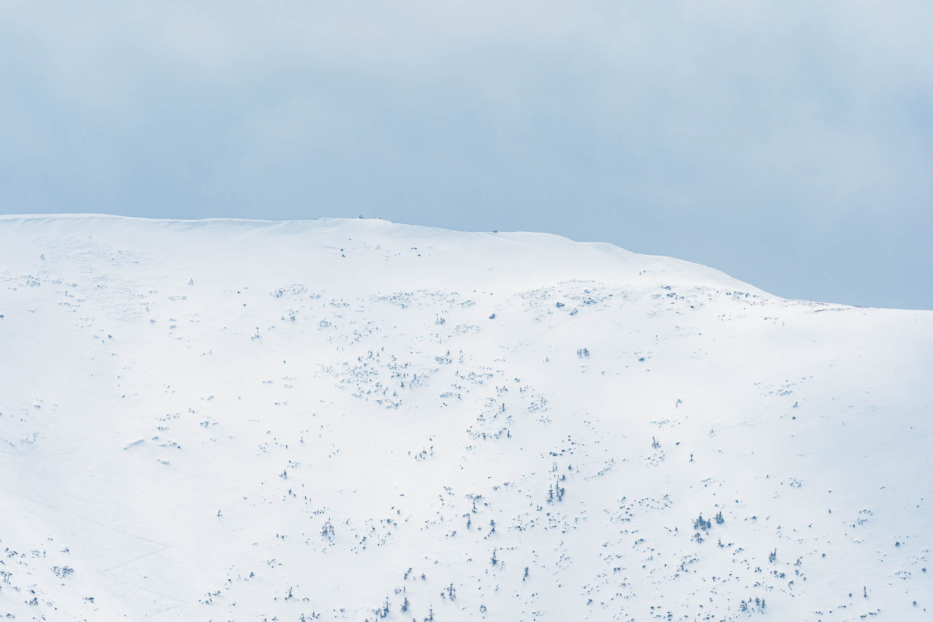 Chabenec z Magurky (Nízke Tatry)