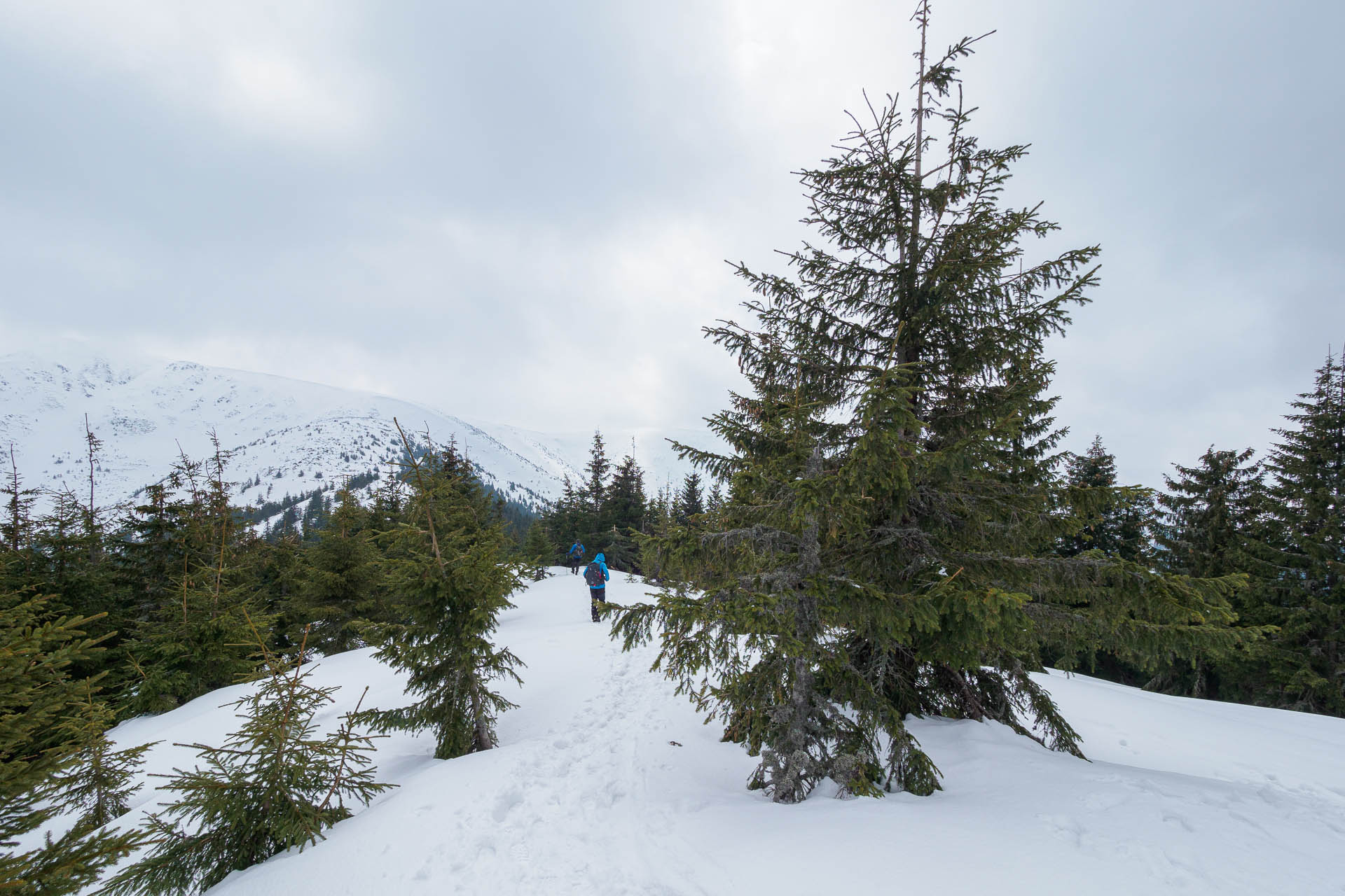 Chabenec z Magurky (Nízke Tatry)