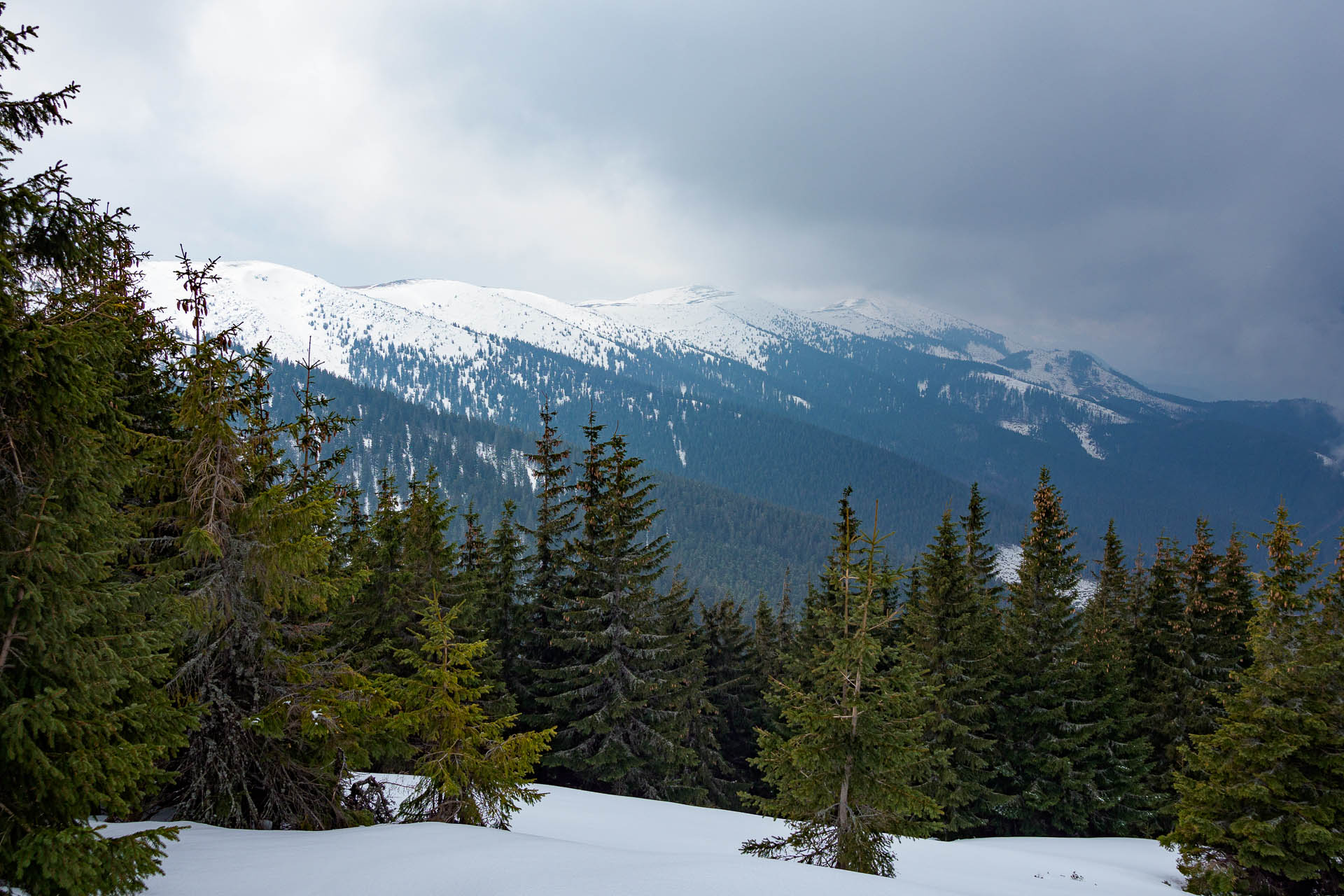 Chabenec z Magurky (Nízke Tatry)