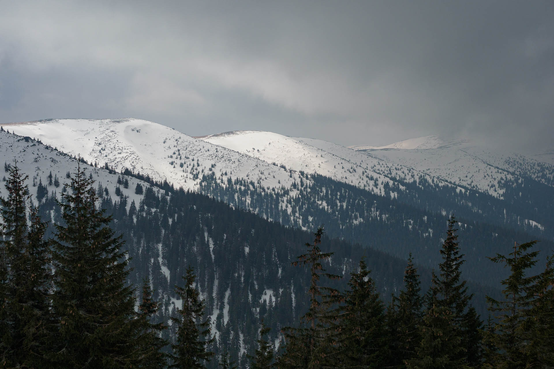 Chabenec z Magurky (Nízke Tatry)