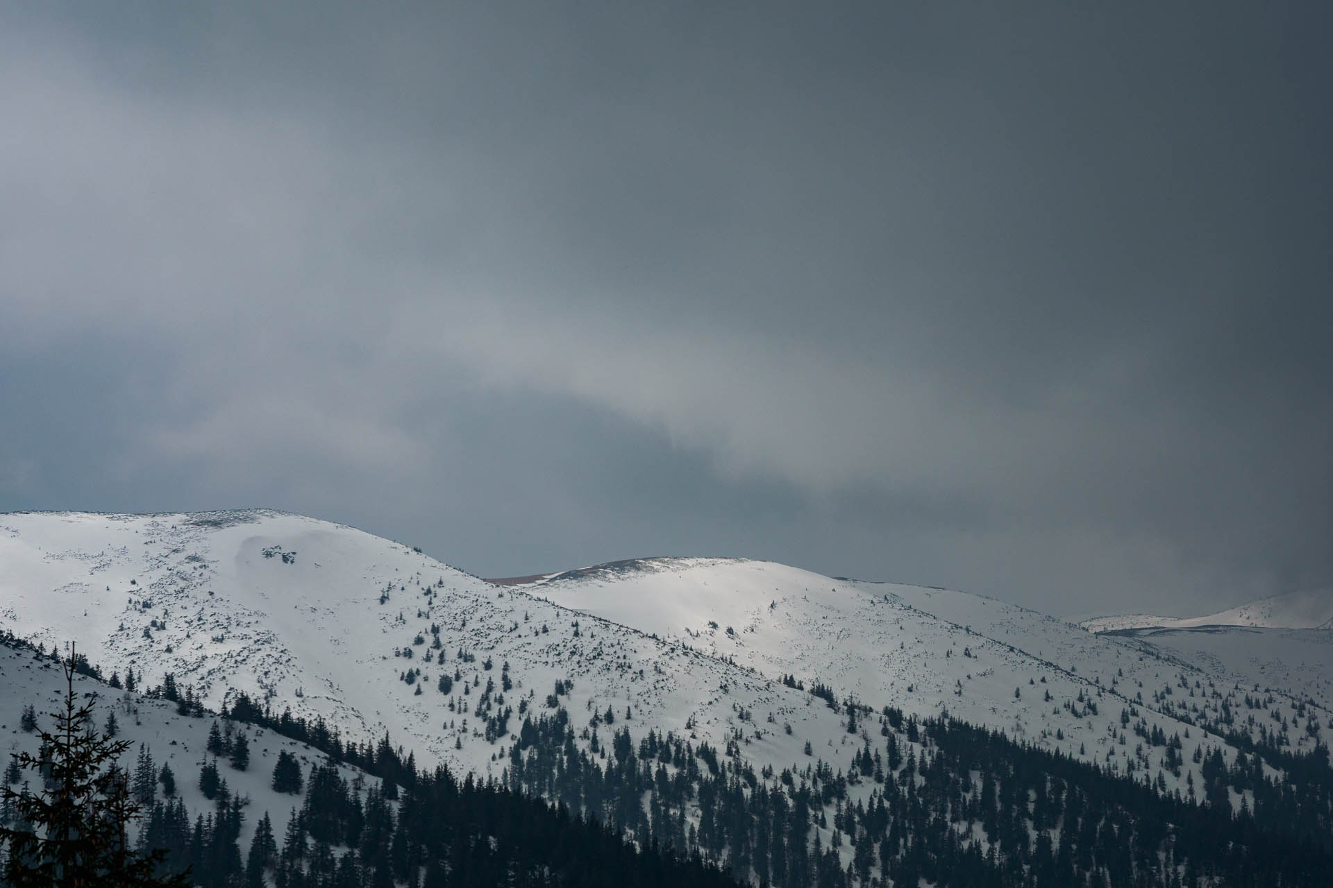 Chabenec z Magurky (Nízke Tatry)