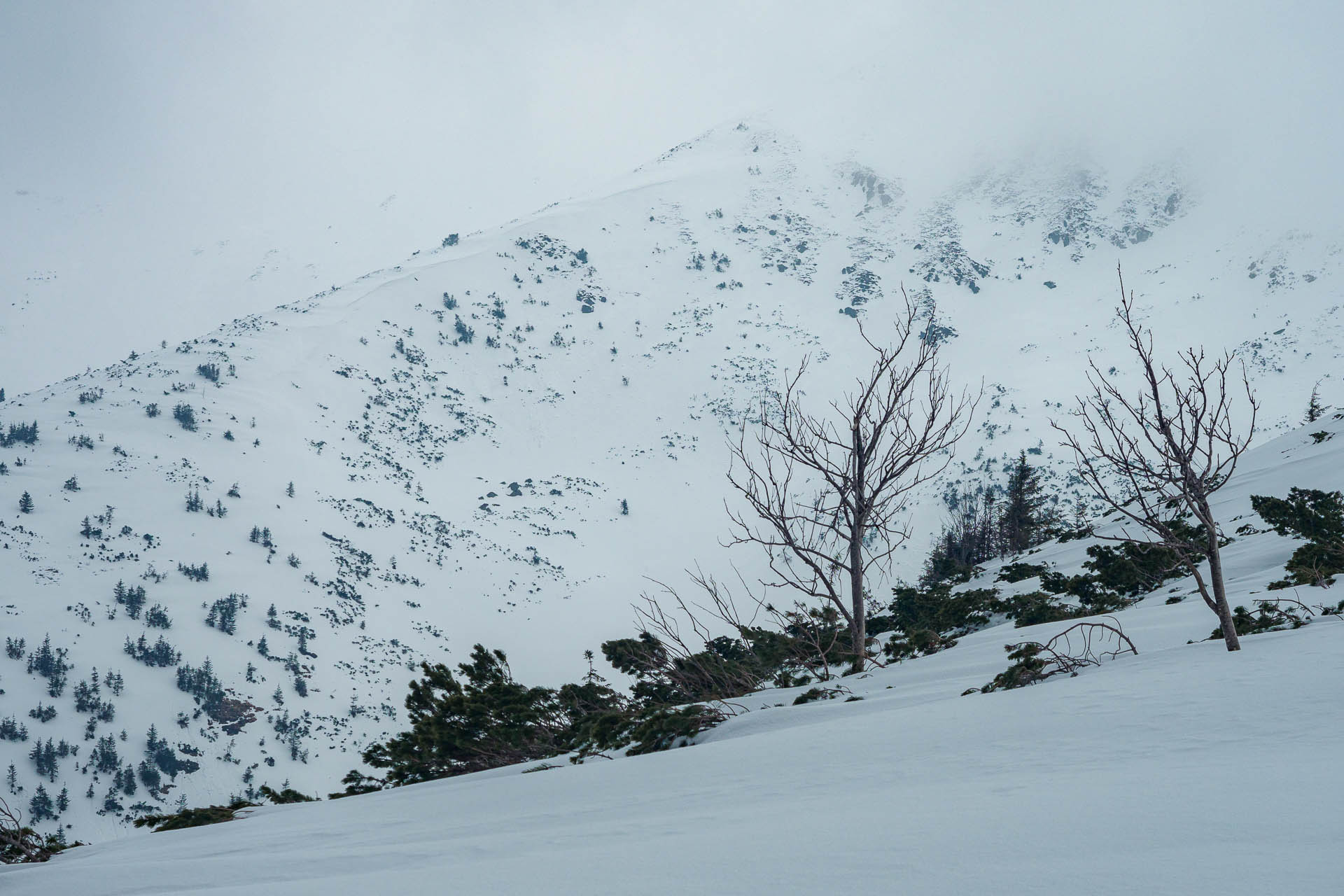 Chabenec z Magurky (Nízke Tatry)