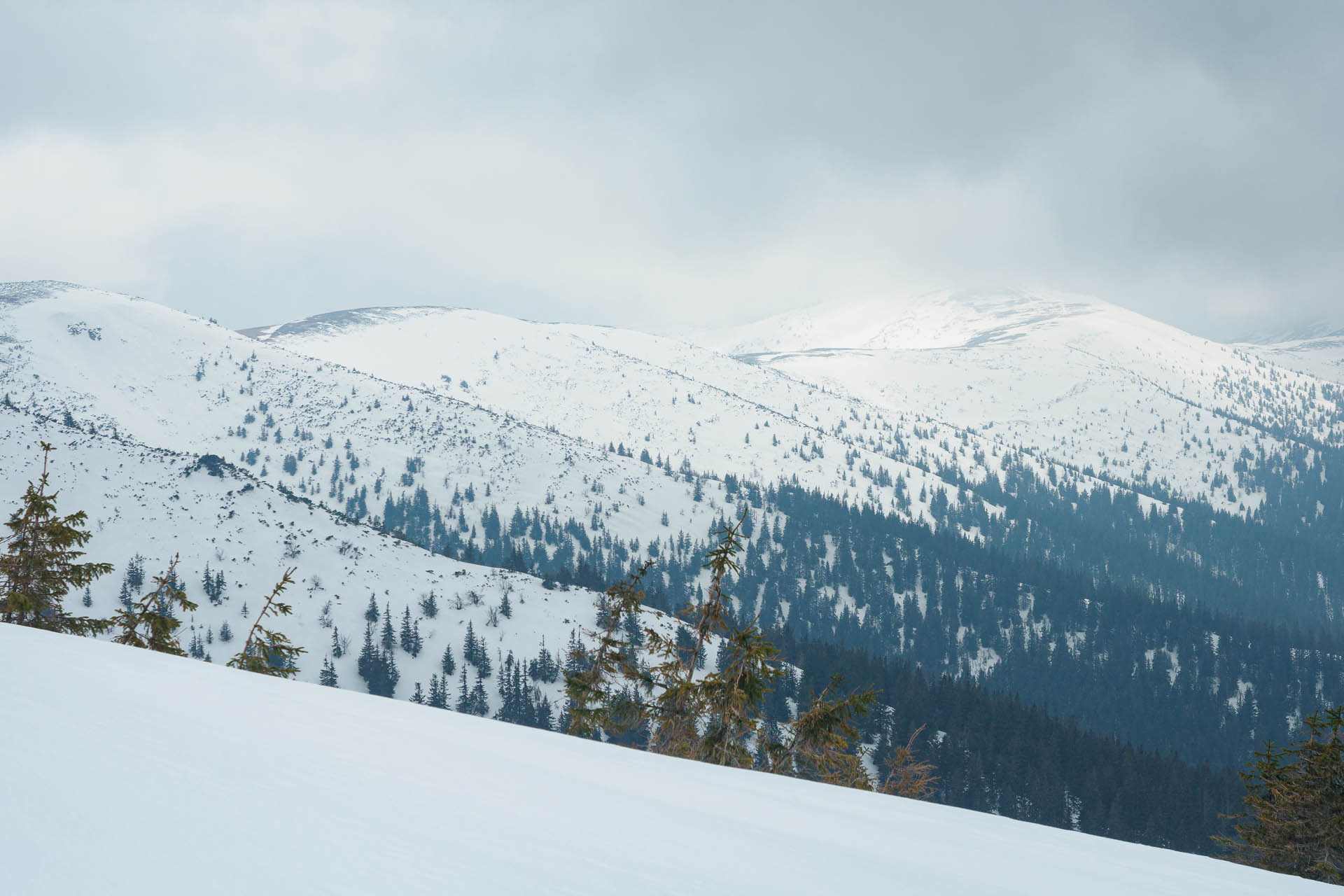 Chabenec z Magurky (Nízke Tatry)