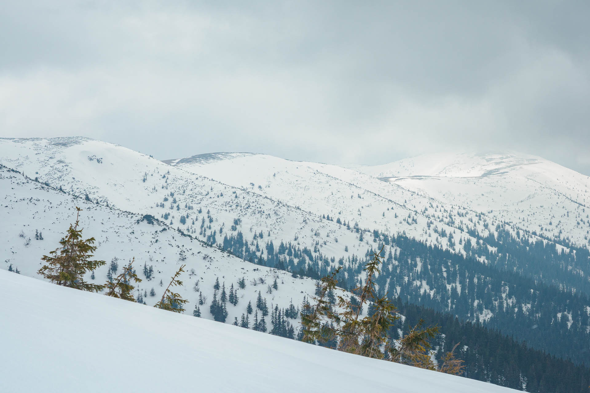 Chabenec z Magurky (Nízke Tatry)