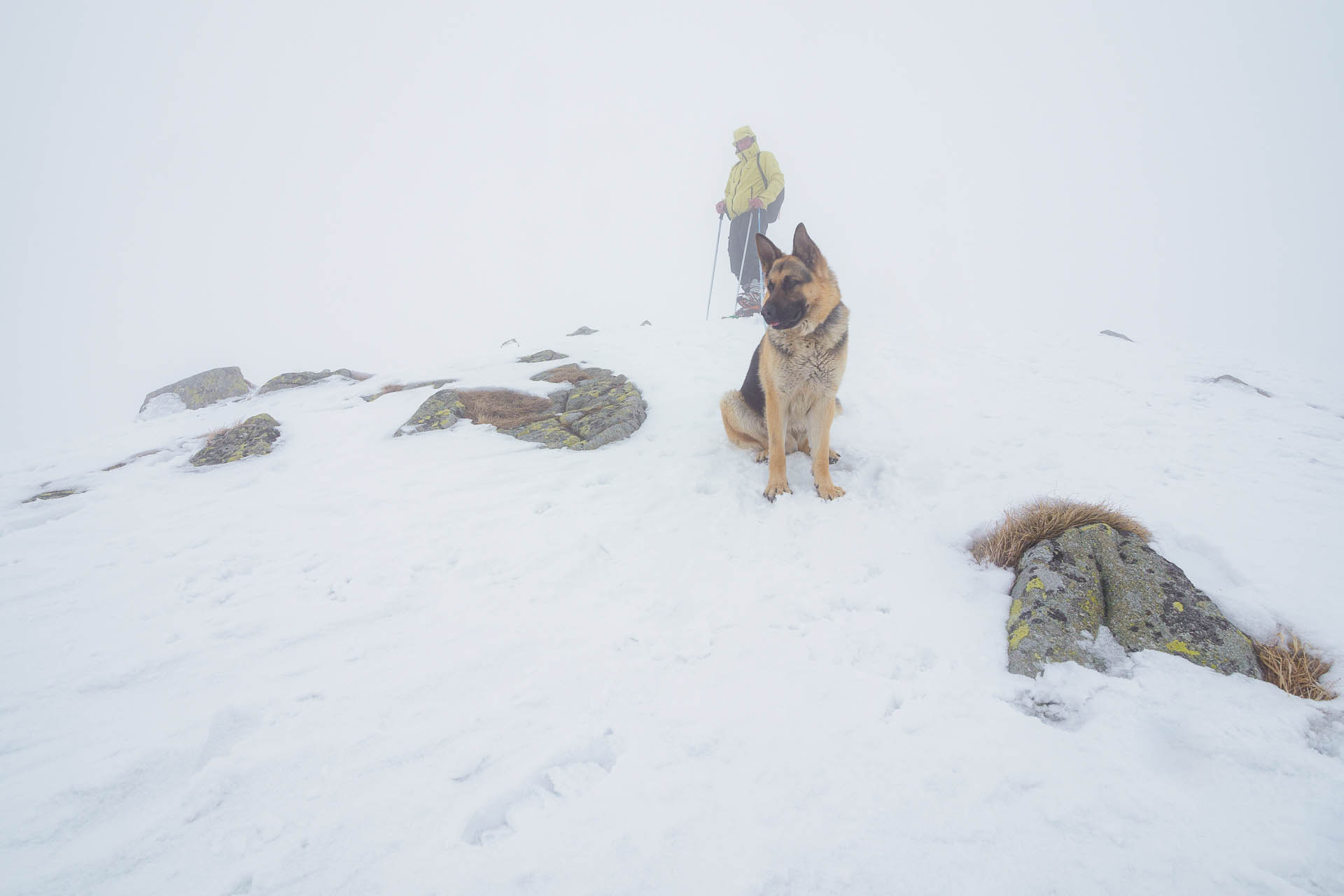 Chabenec z Magurky (Nízke Tatry)