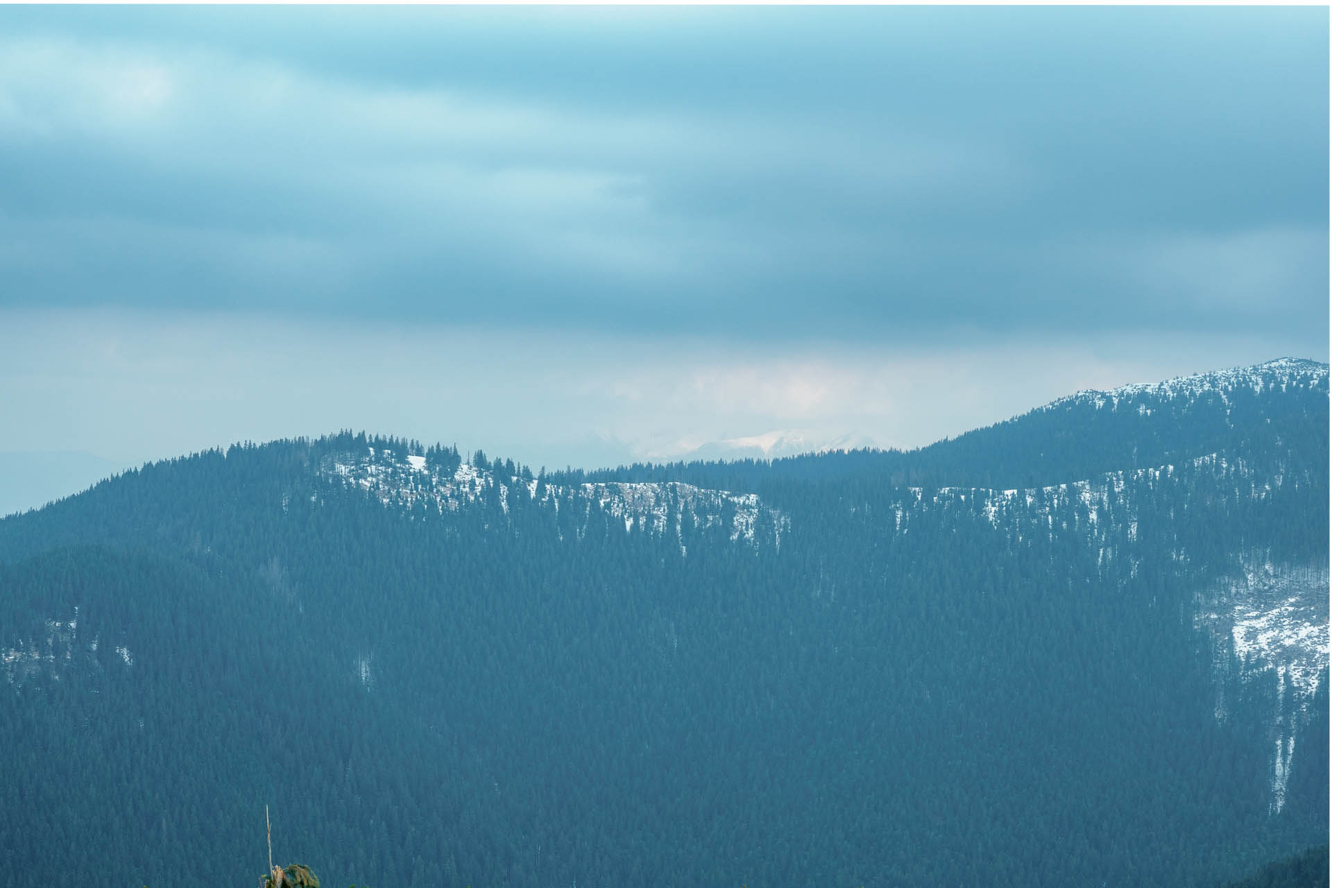 Chabenec z Magurky (Nízke Tatry)