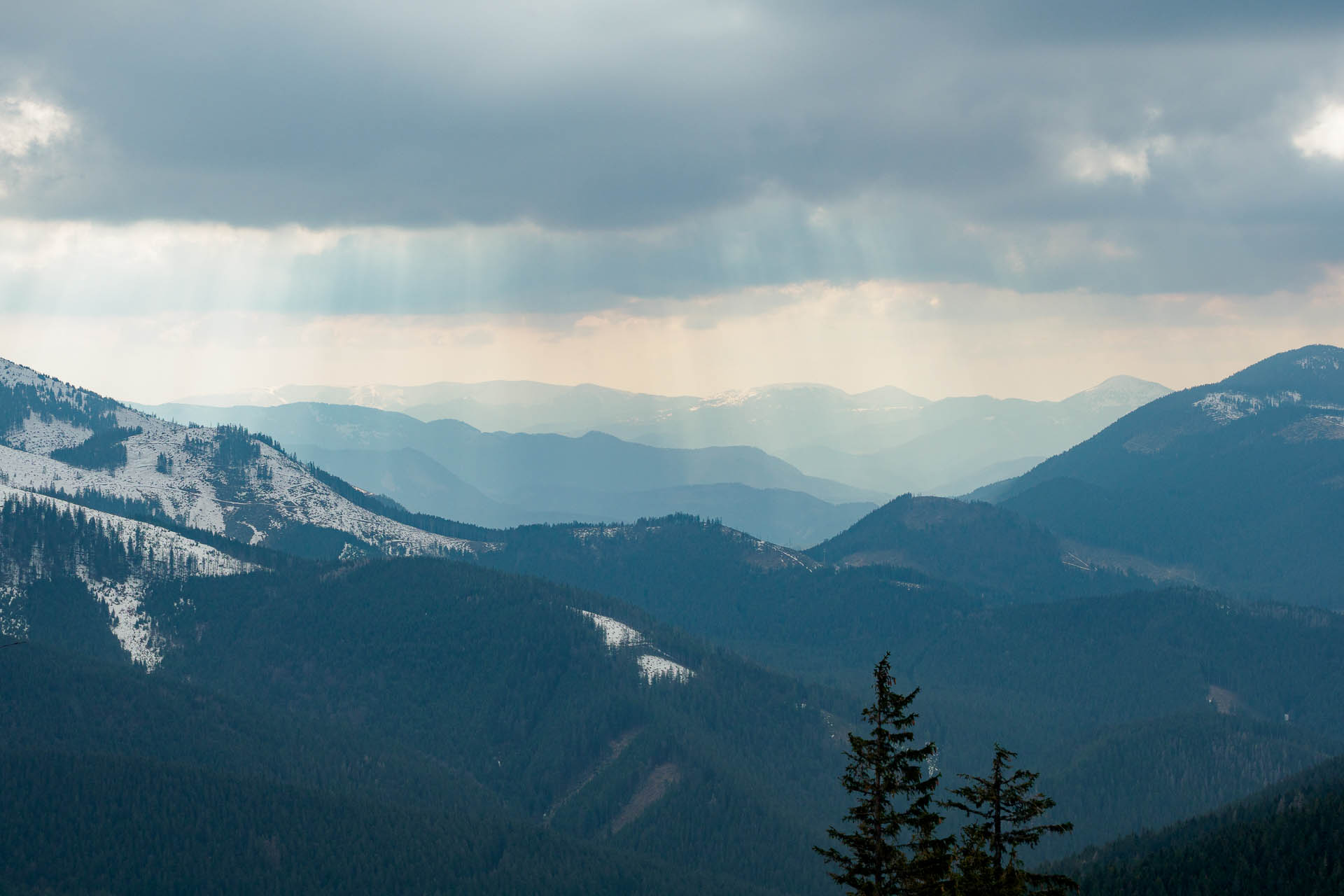 Chabenec z Magurky (Nízke Tatry)