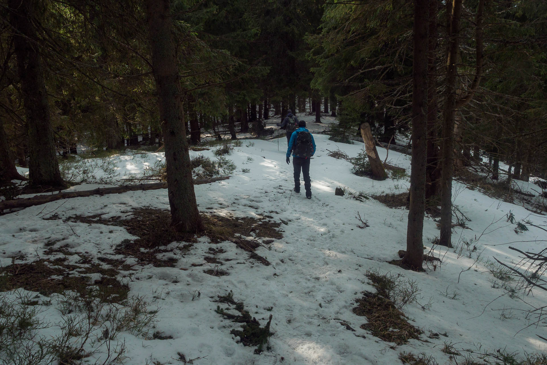 Chabenec z Magurky (Nízke Tatry)