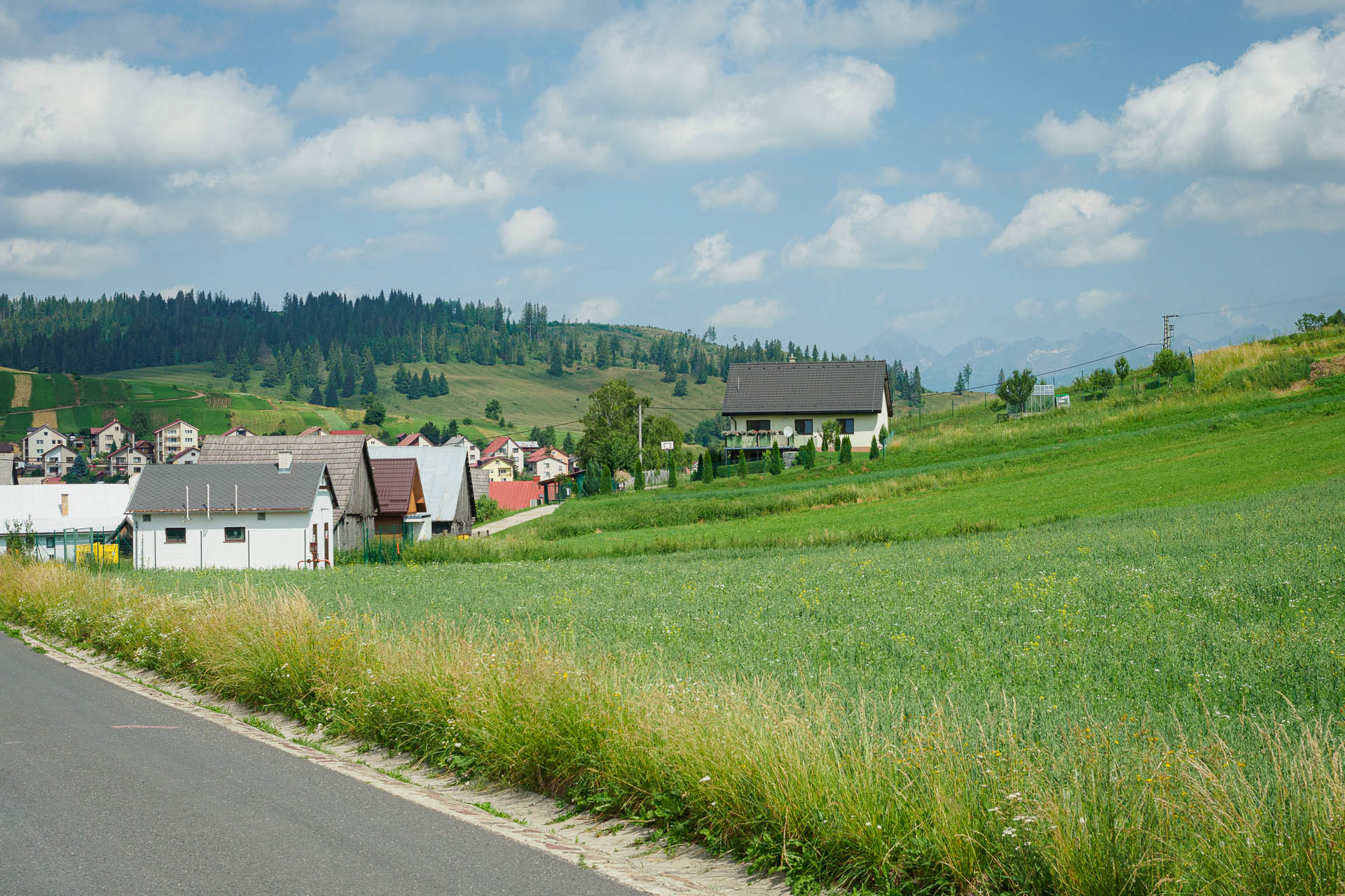 Kráľova hoľa z Liptovskej Tepličky (Nízke Tatry)