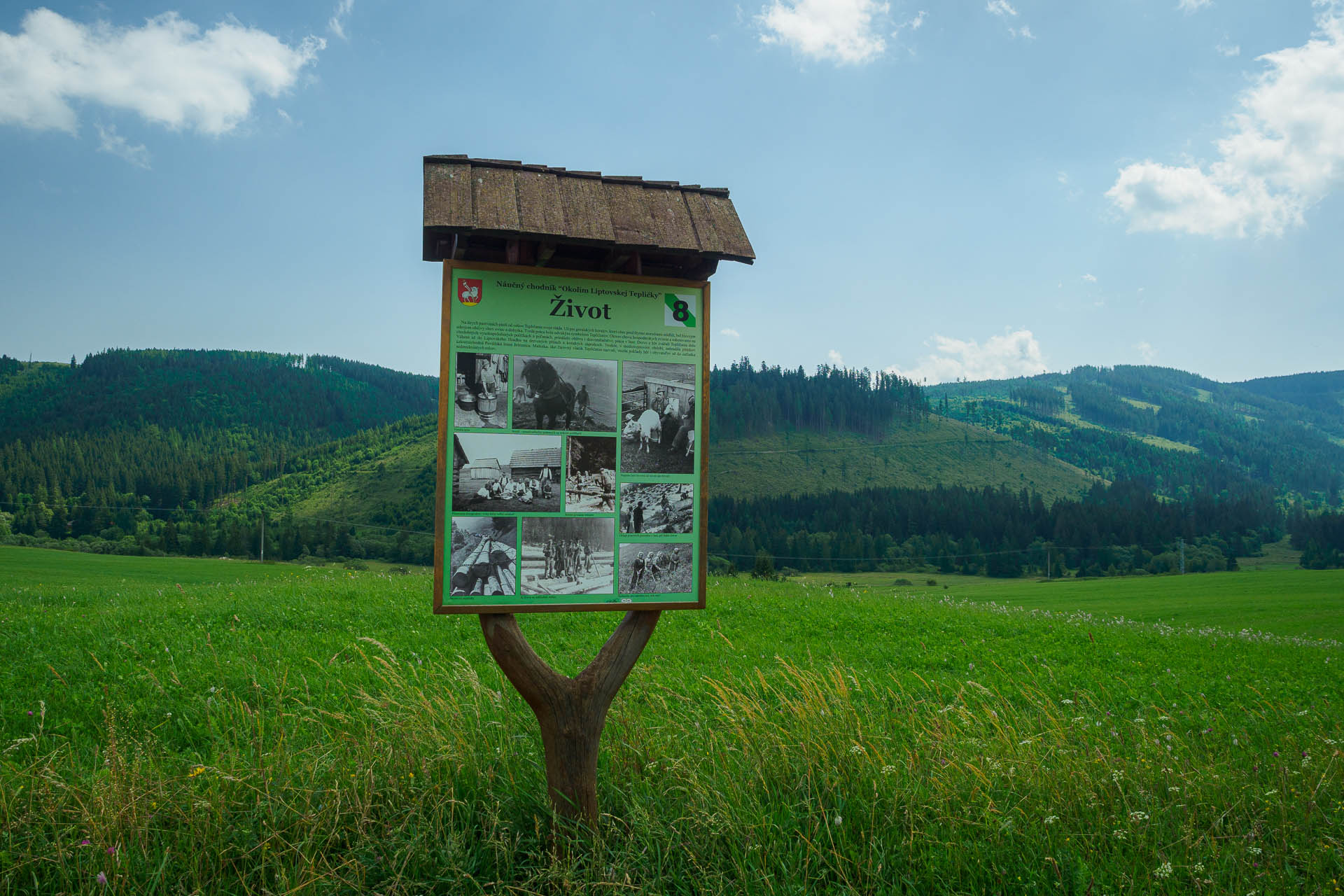 Kráľova hoľa z Liptovskej Tepličky (Nízke Tatry)