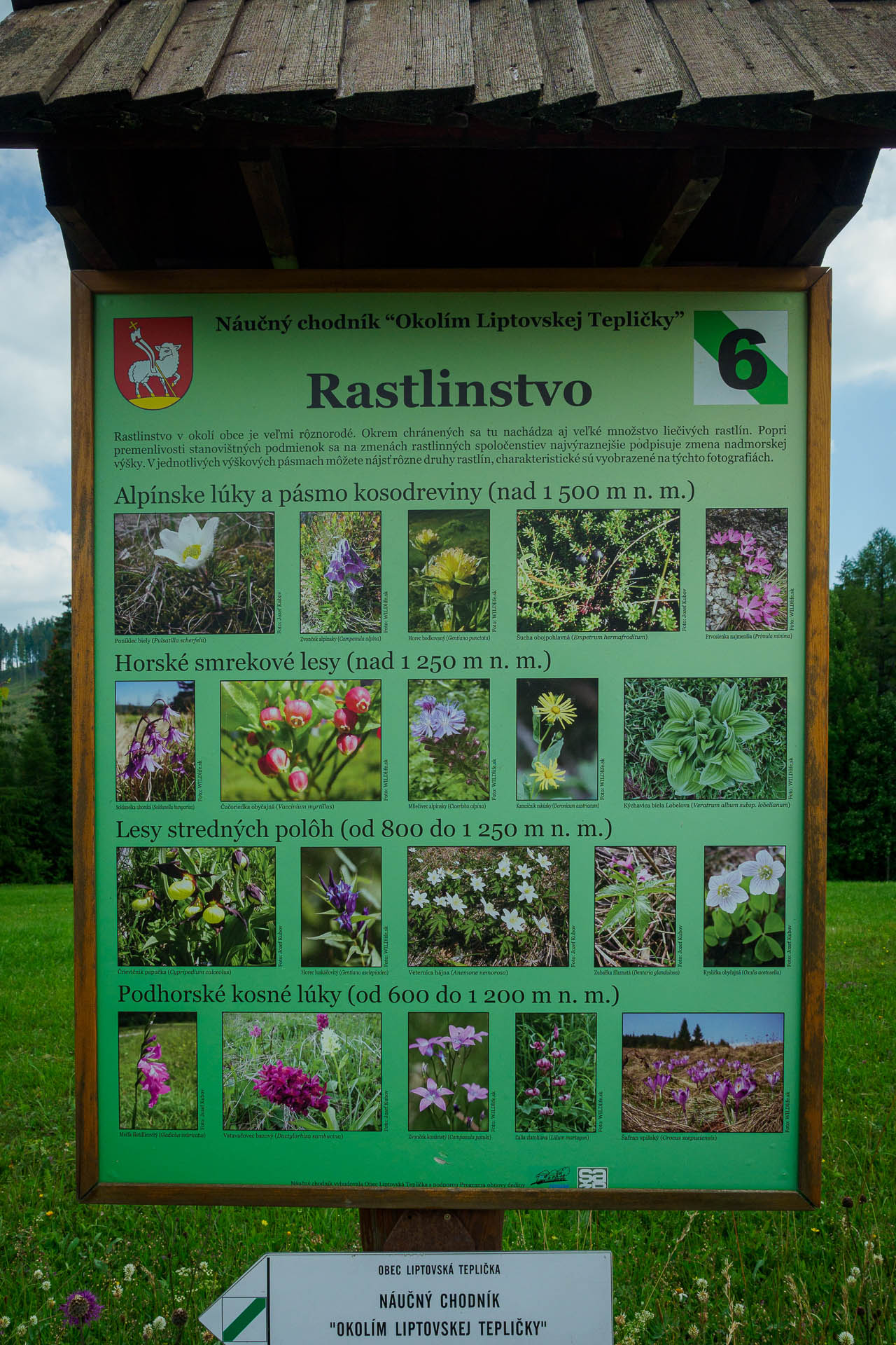 Kráľova hoľa z Liptovskej Tepličky (Nízke Tatry)