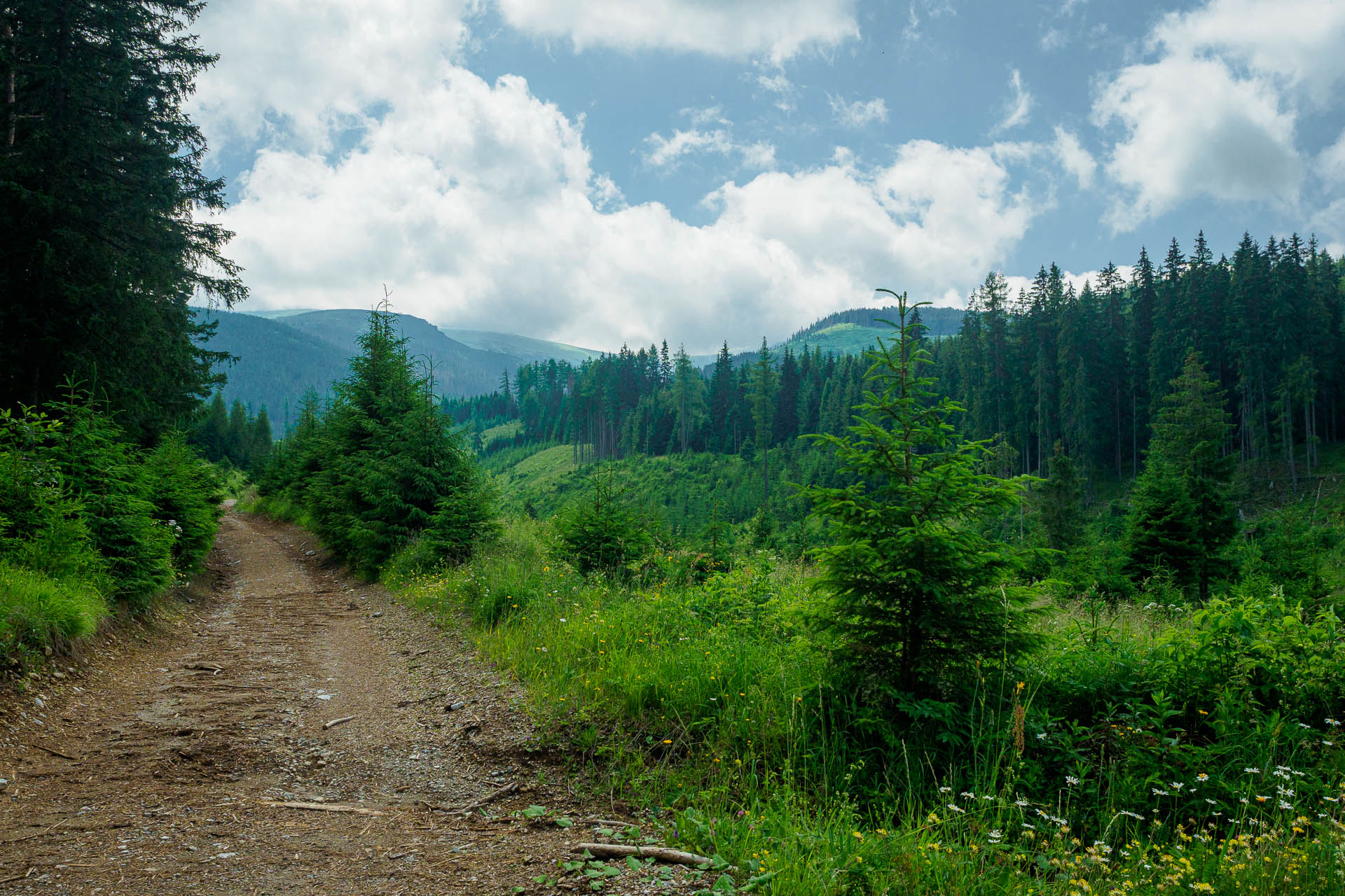 Kráľova hoľa z Liptovskej Tepličky (Nízke Tatry)