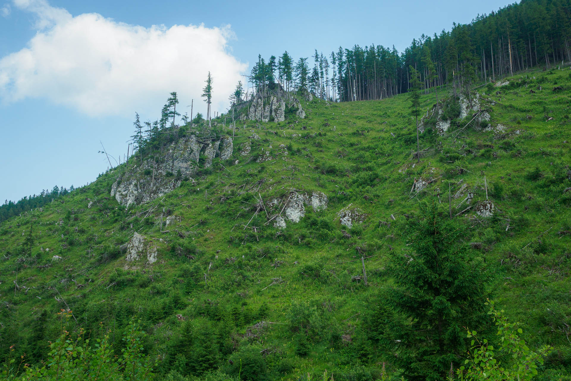 Kráľova hoľa z Liptovskej Tepličky (Nízke Tatry)