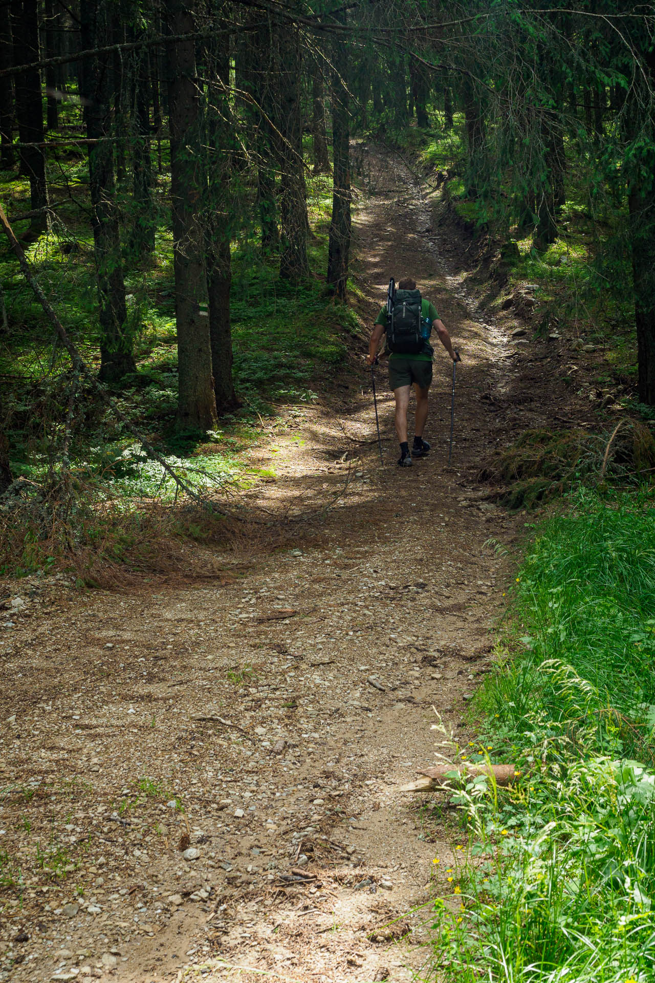 Kráľova hoľa z Liptovskej Tepličky (Nízke Tatry)